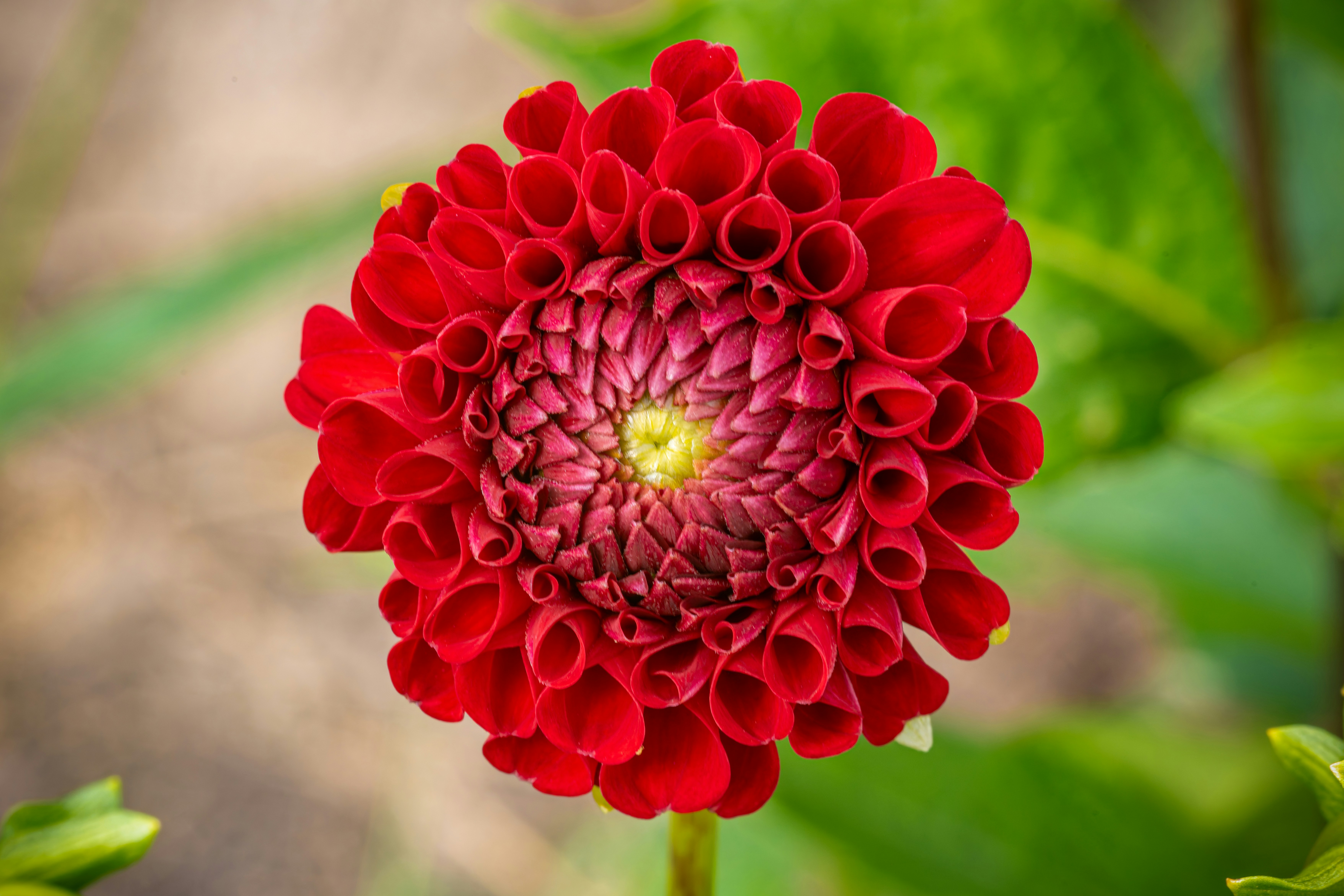 Photo by siegfriedpoepperl