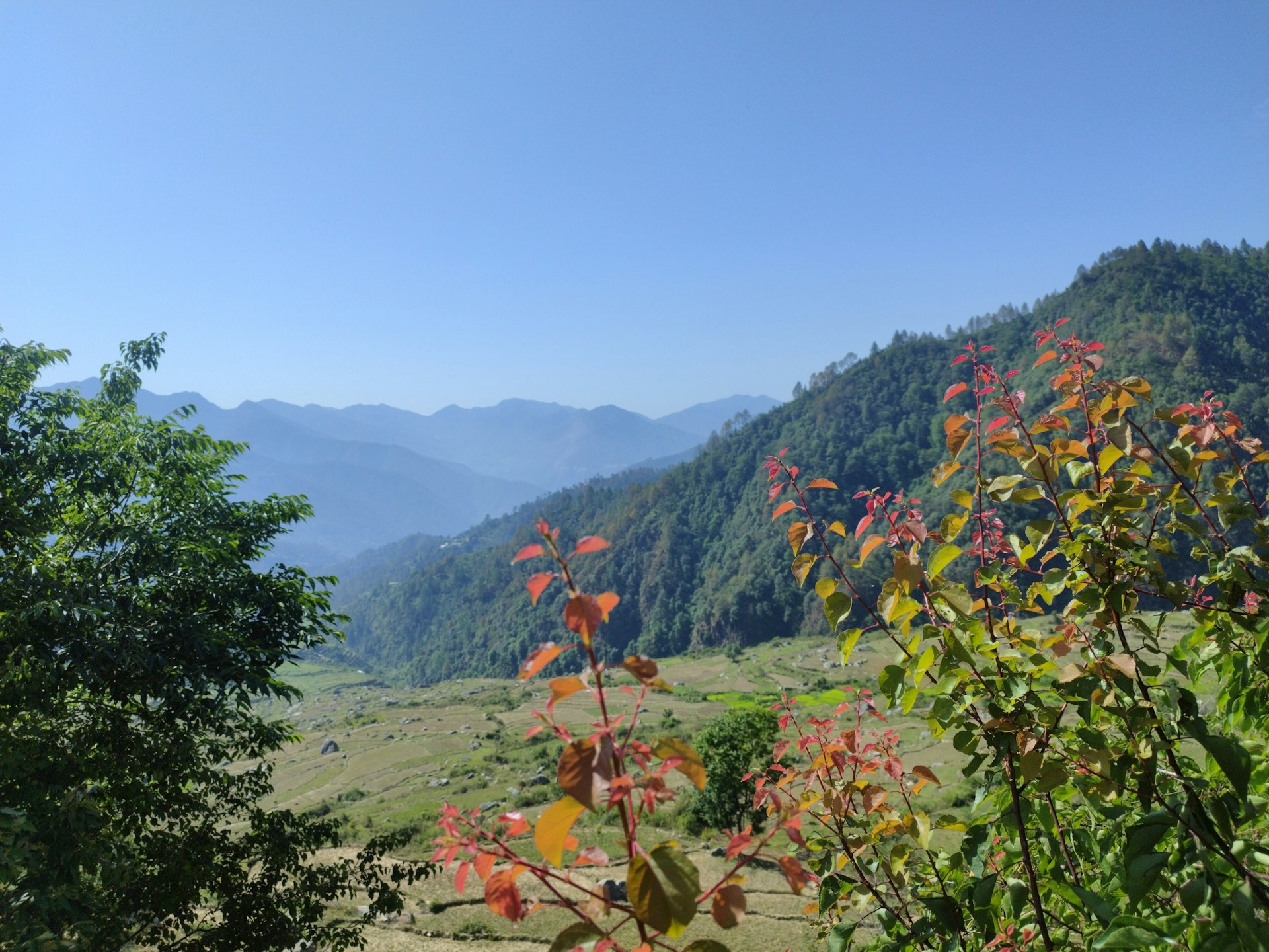 A view of a valley with mountains in the background