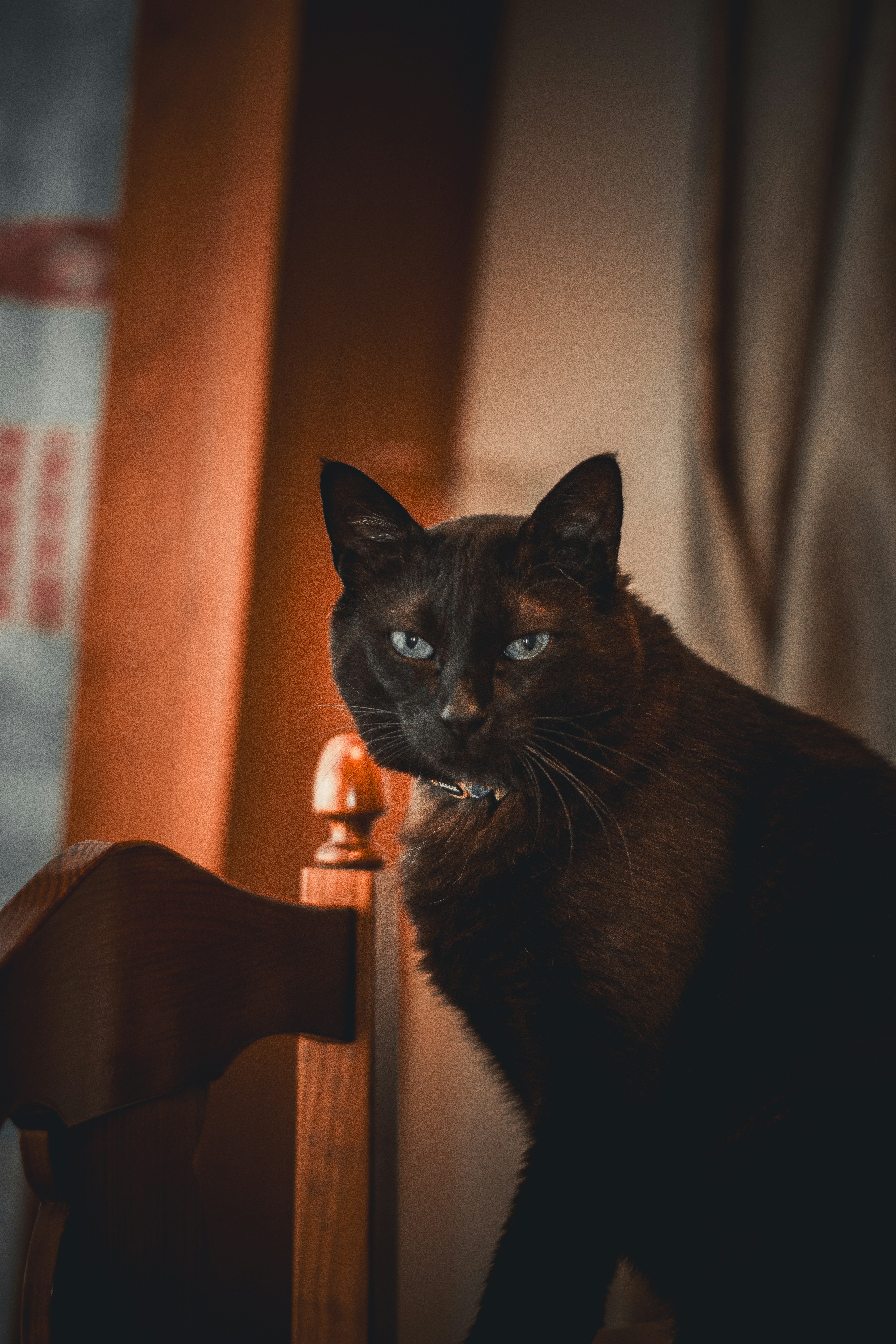 Photo by diogocardoso28