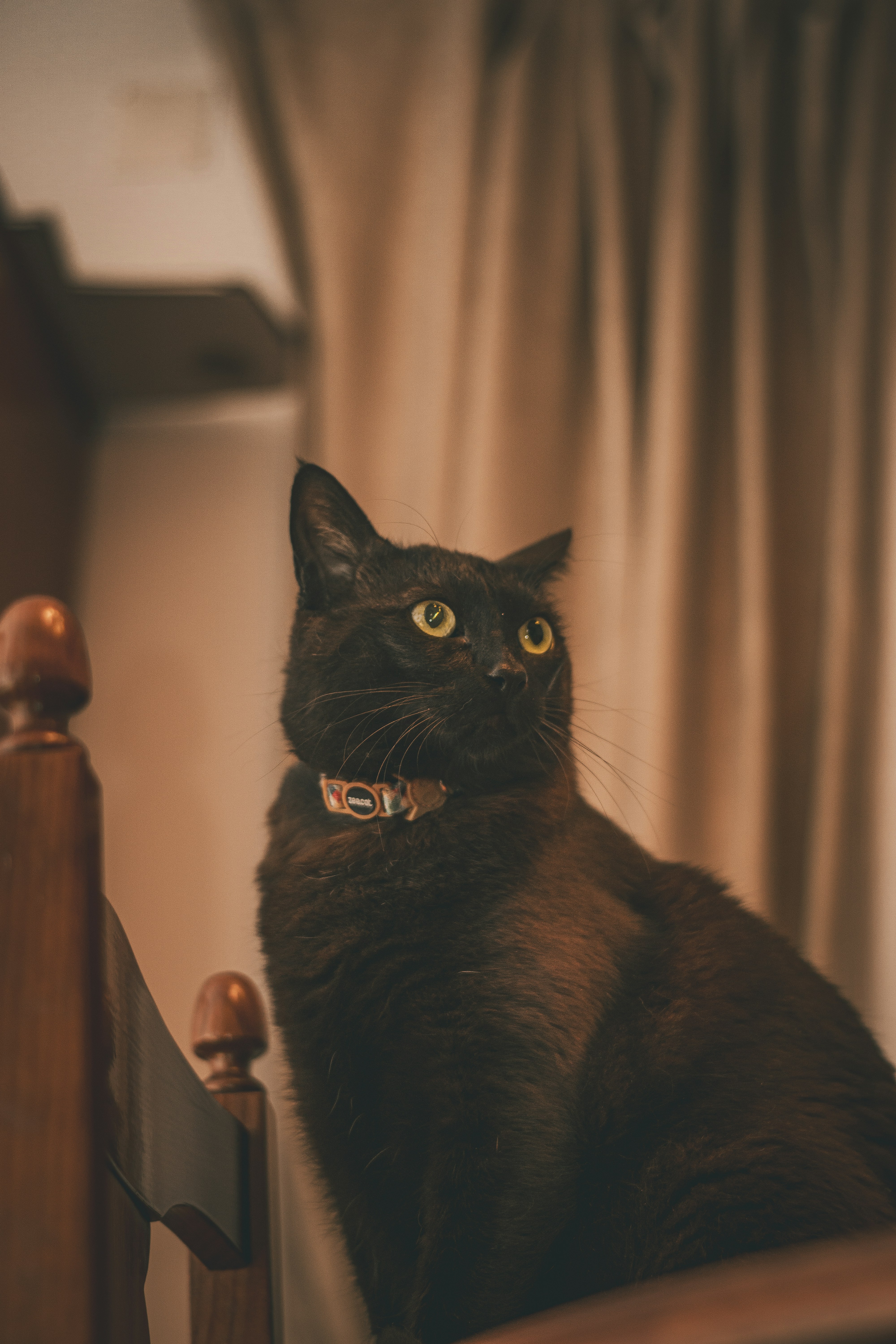 A black cat sitting on top of a wooden chair