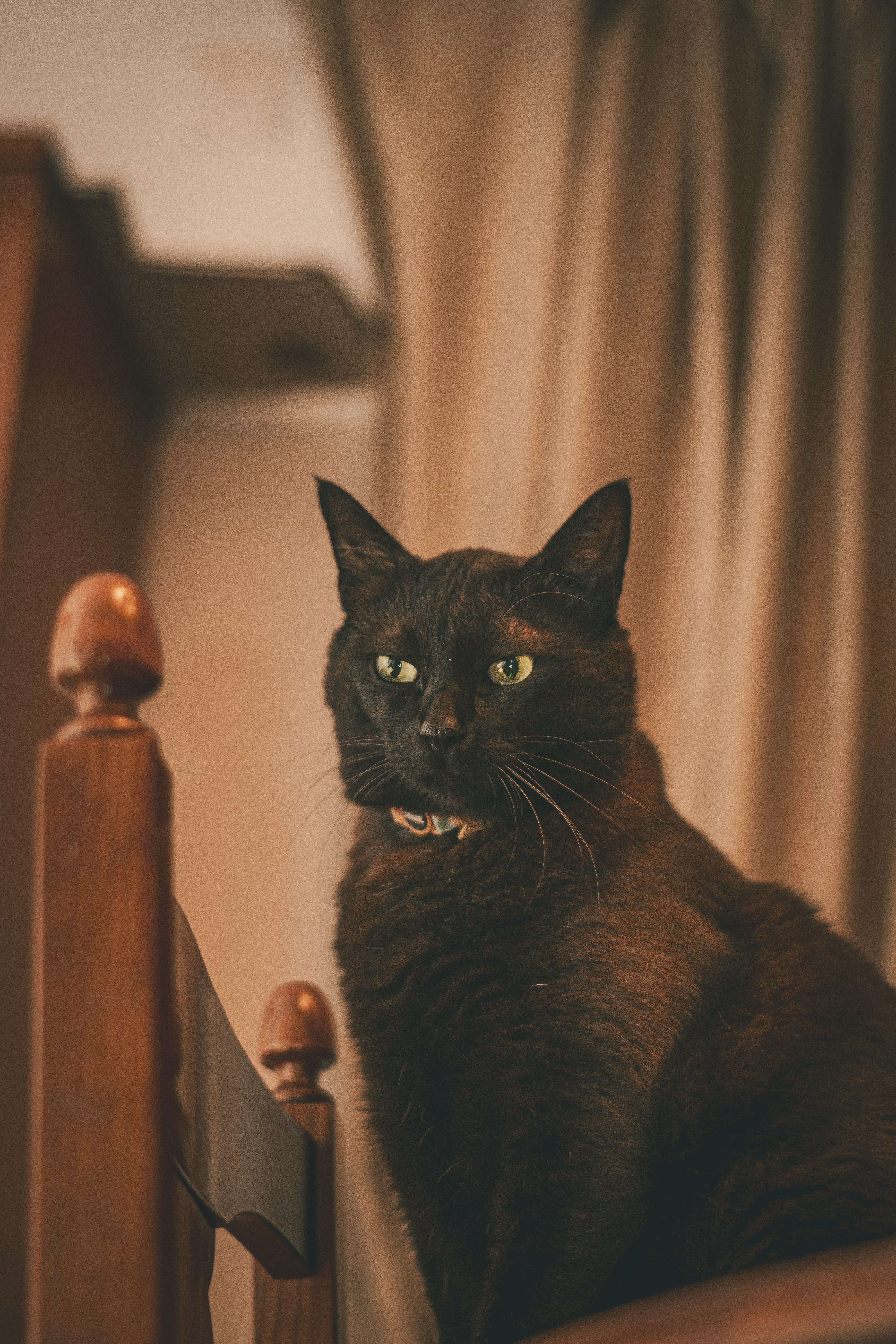 Photo by diogocardoso28