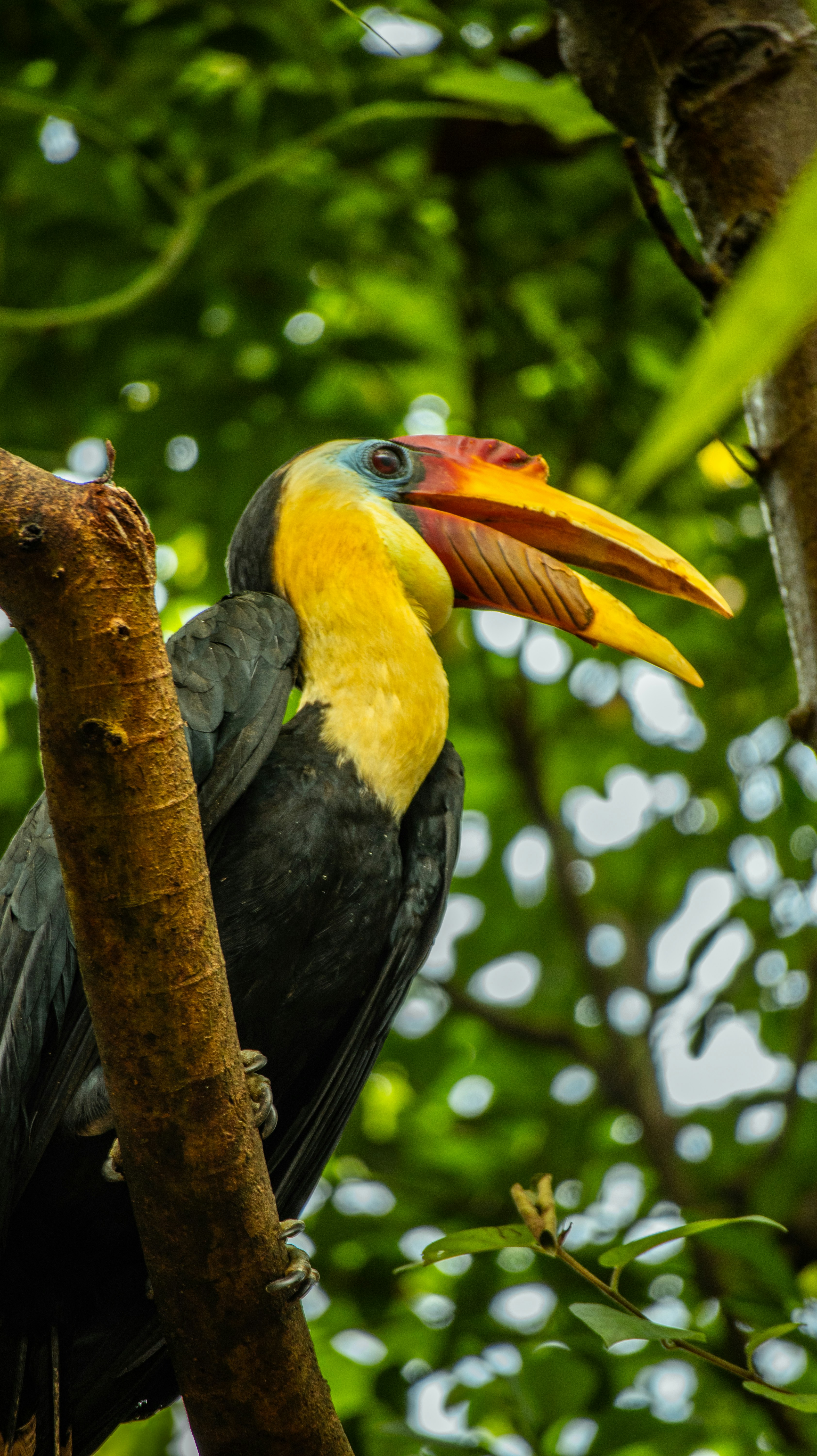 Photo by michaelvg94