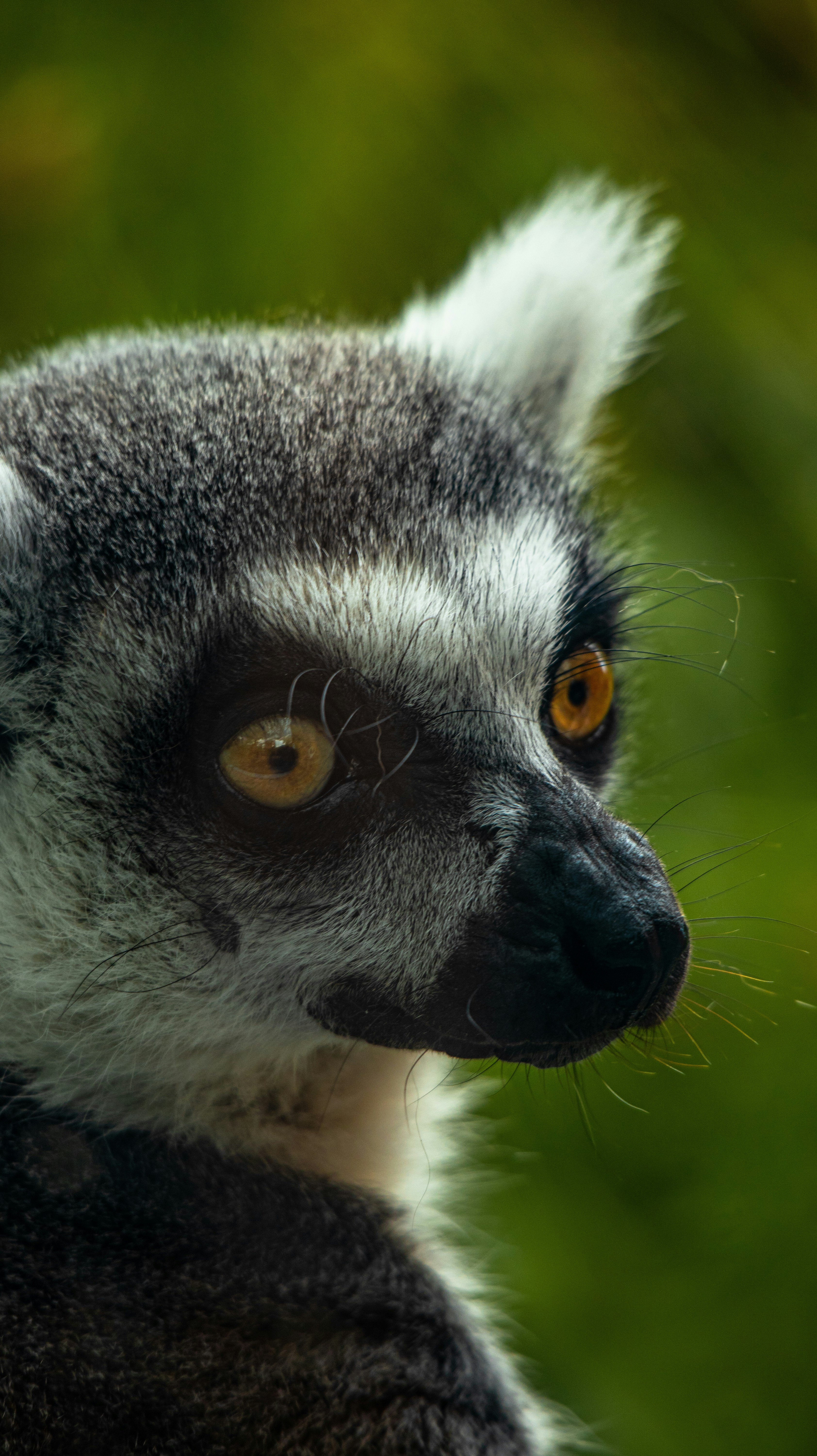 Photo by michaelvg94