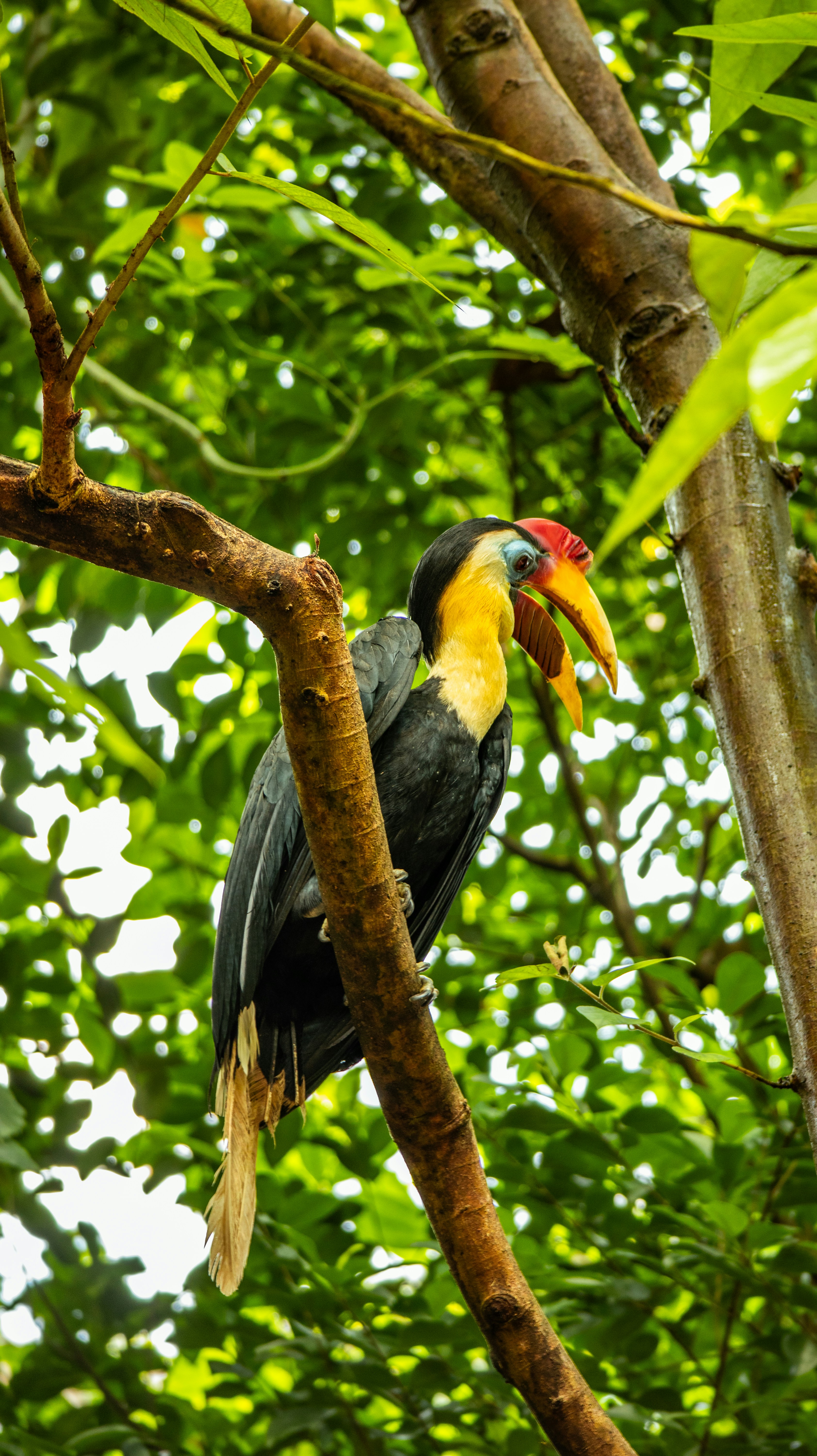 Photo by michaelvg94