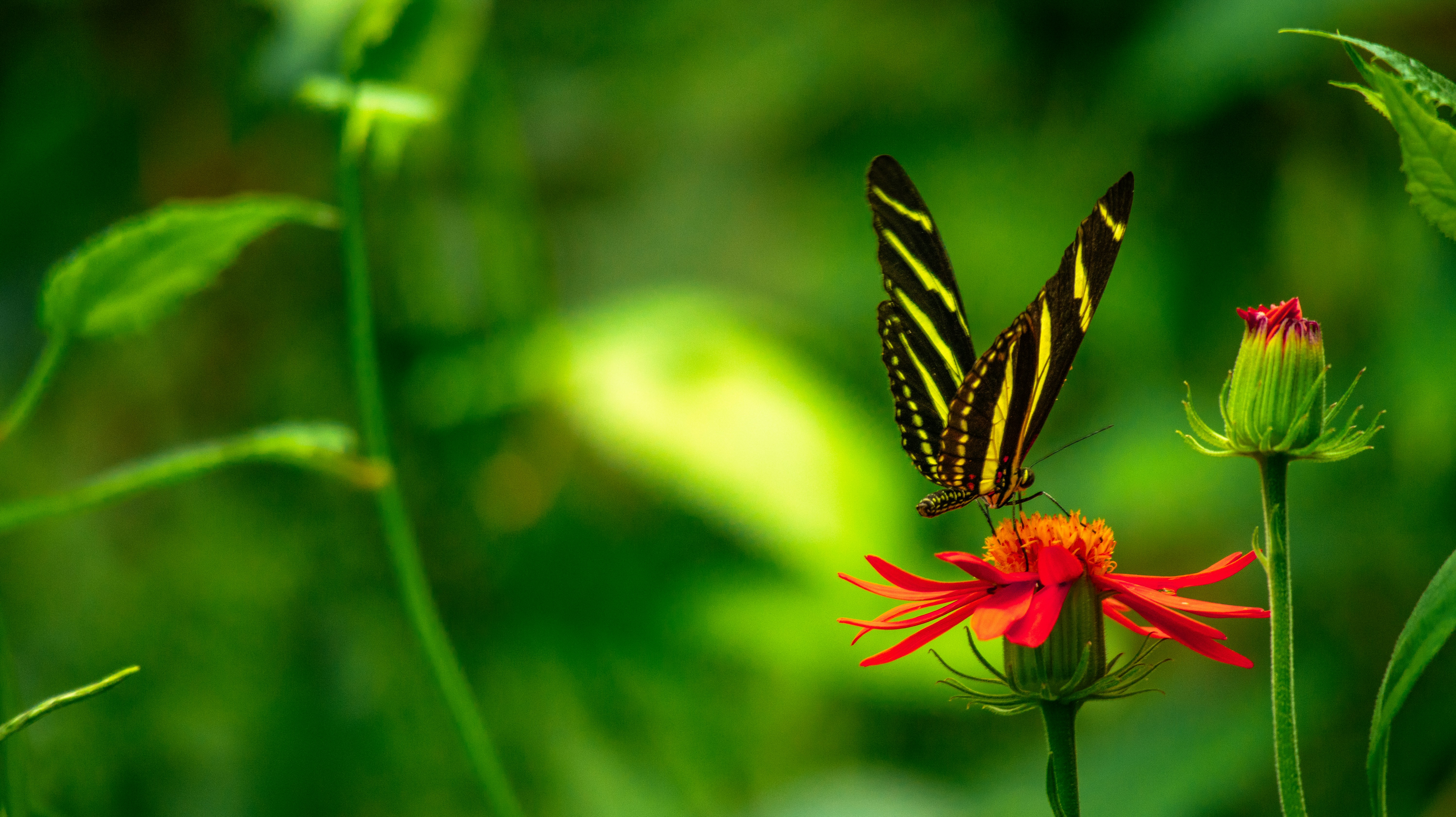 Afbeelding van Arnhem