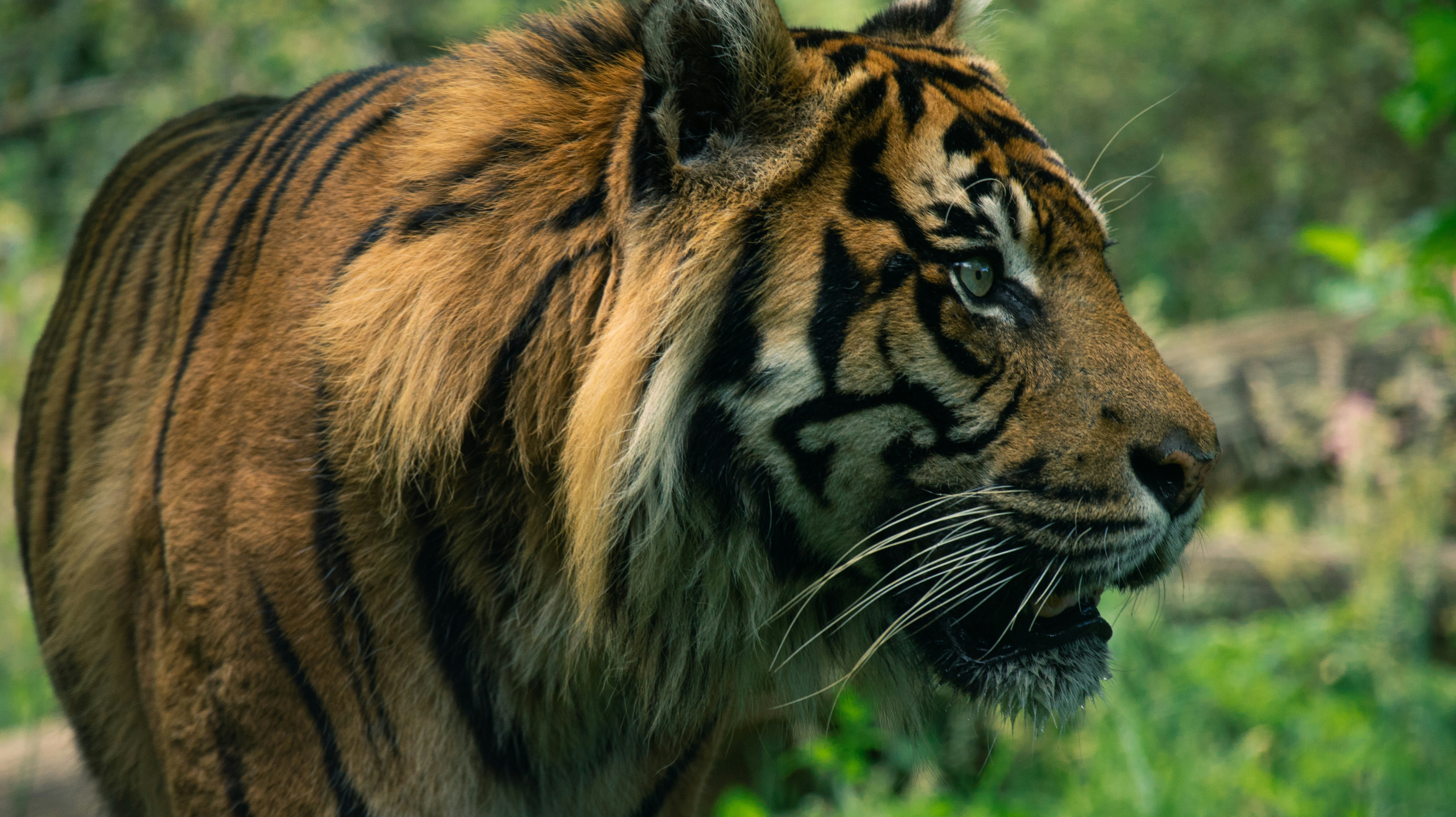 Afbeelding van Arnhem