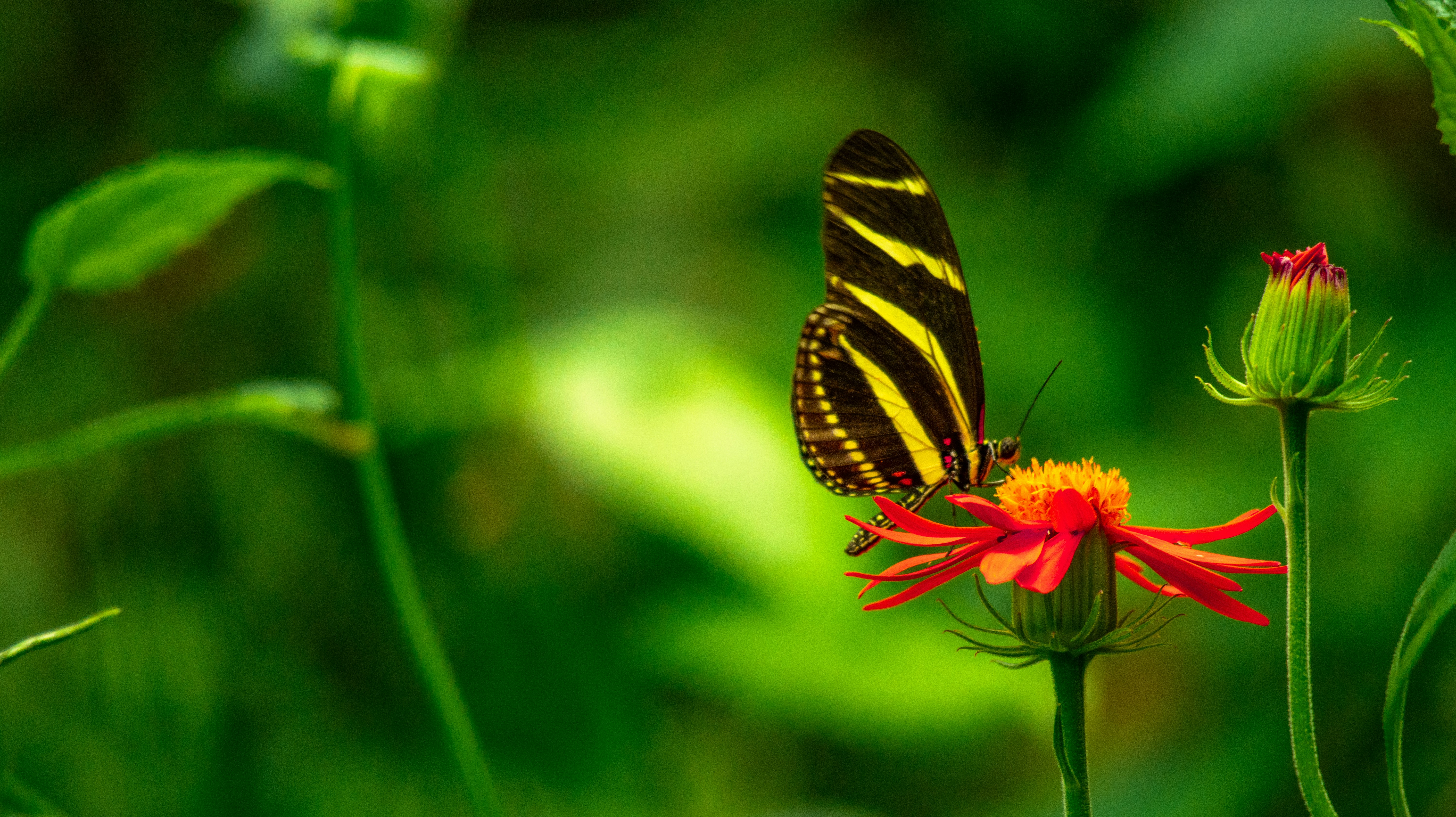 Afbeelding van Arnhem