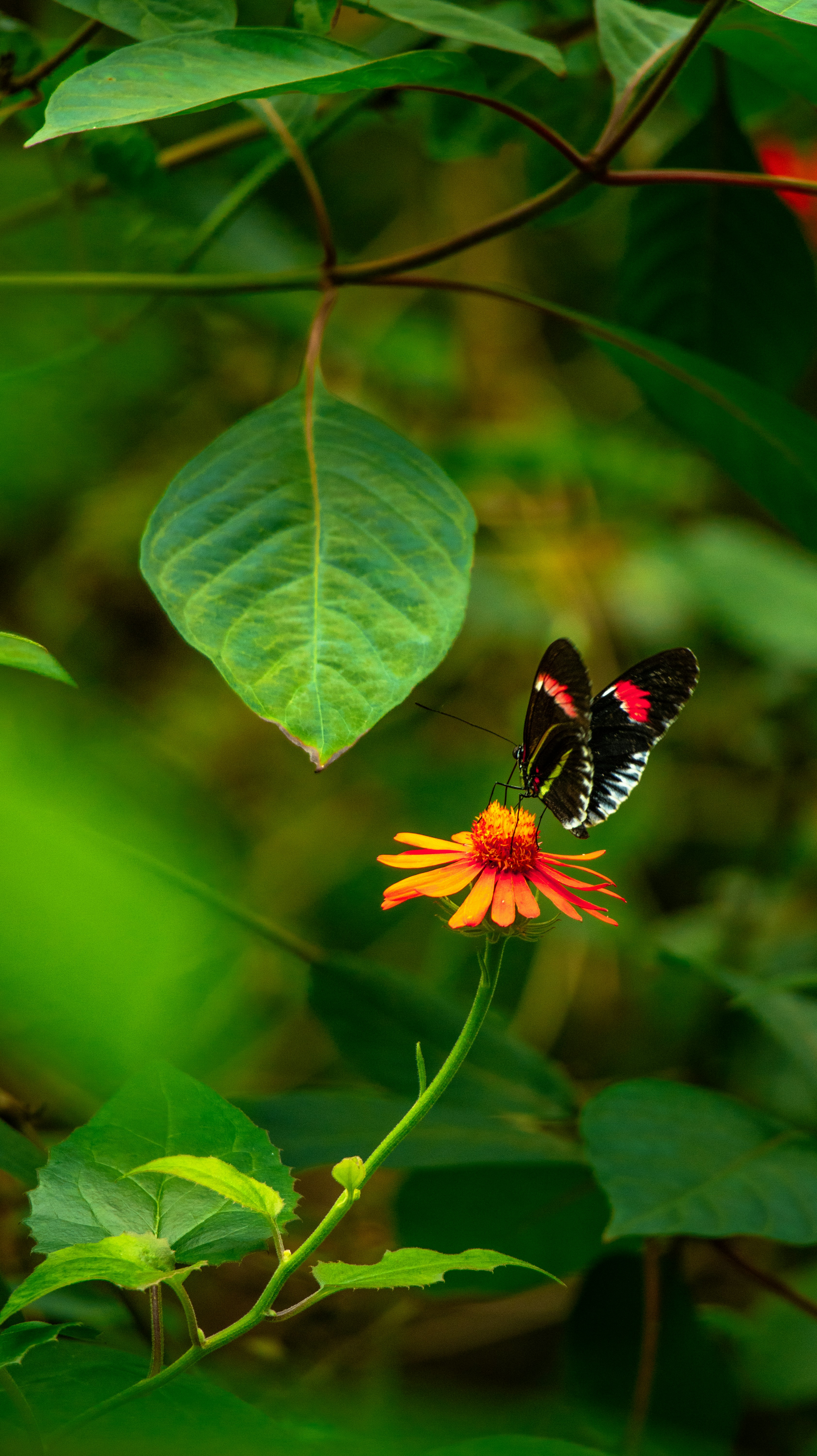 Photo by michaelvg94