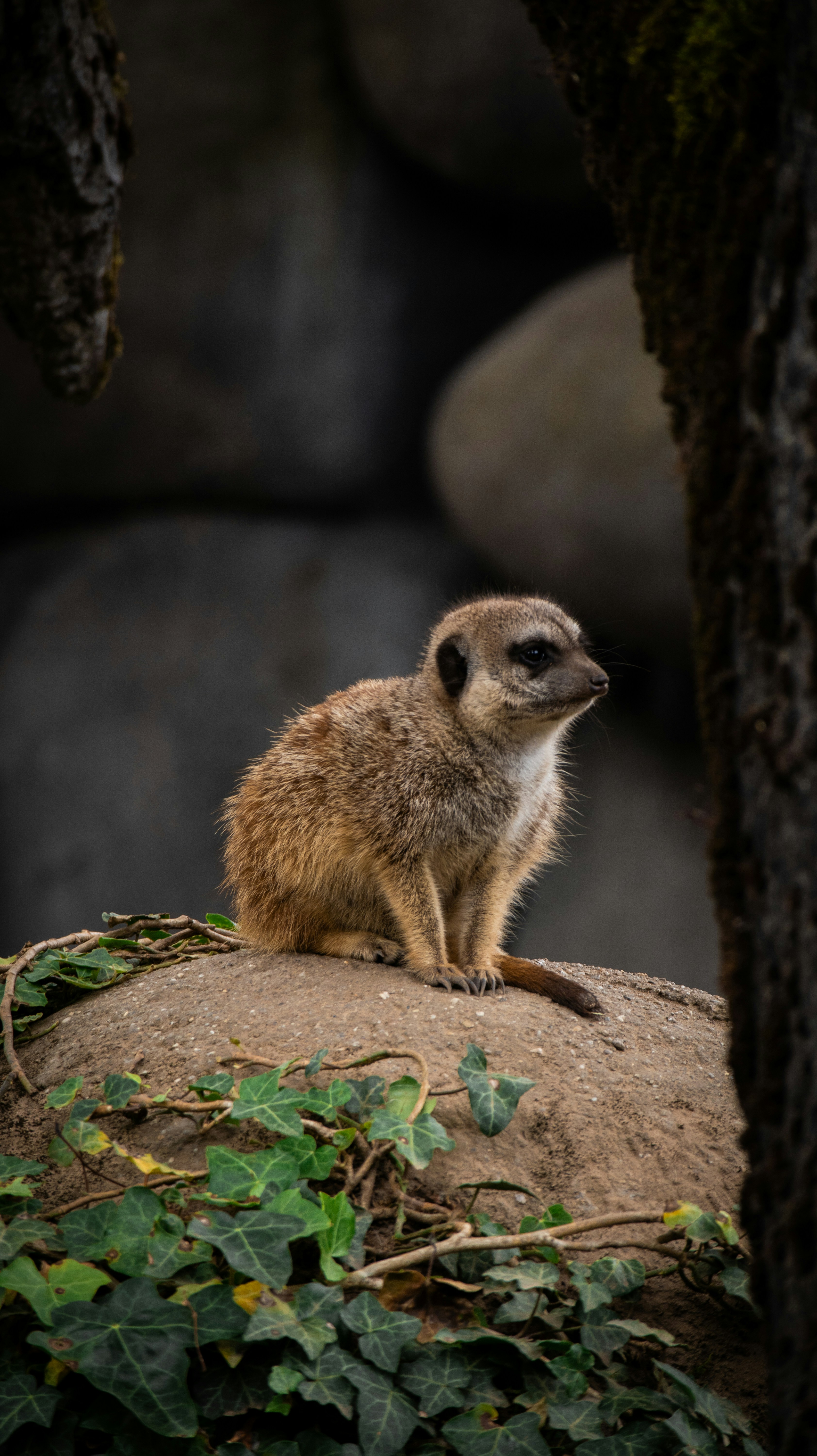 Photo by michaelvg94