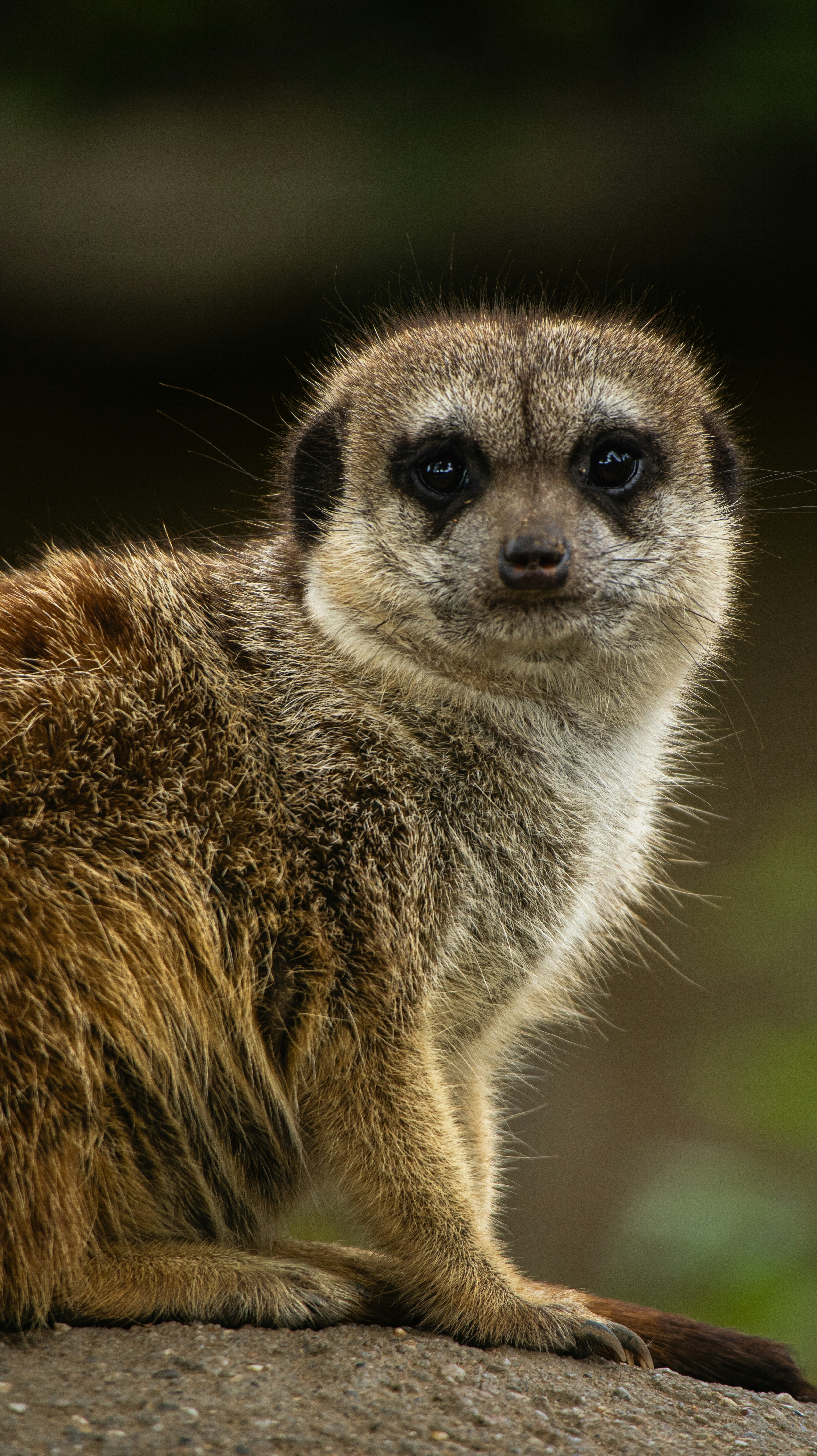 Photo by michaelvg94