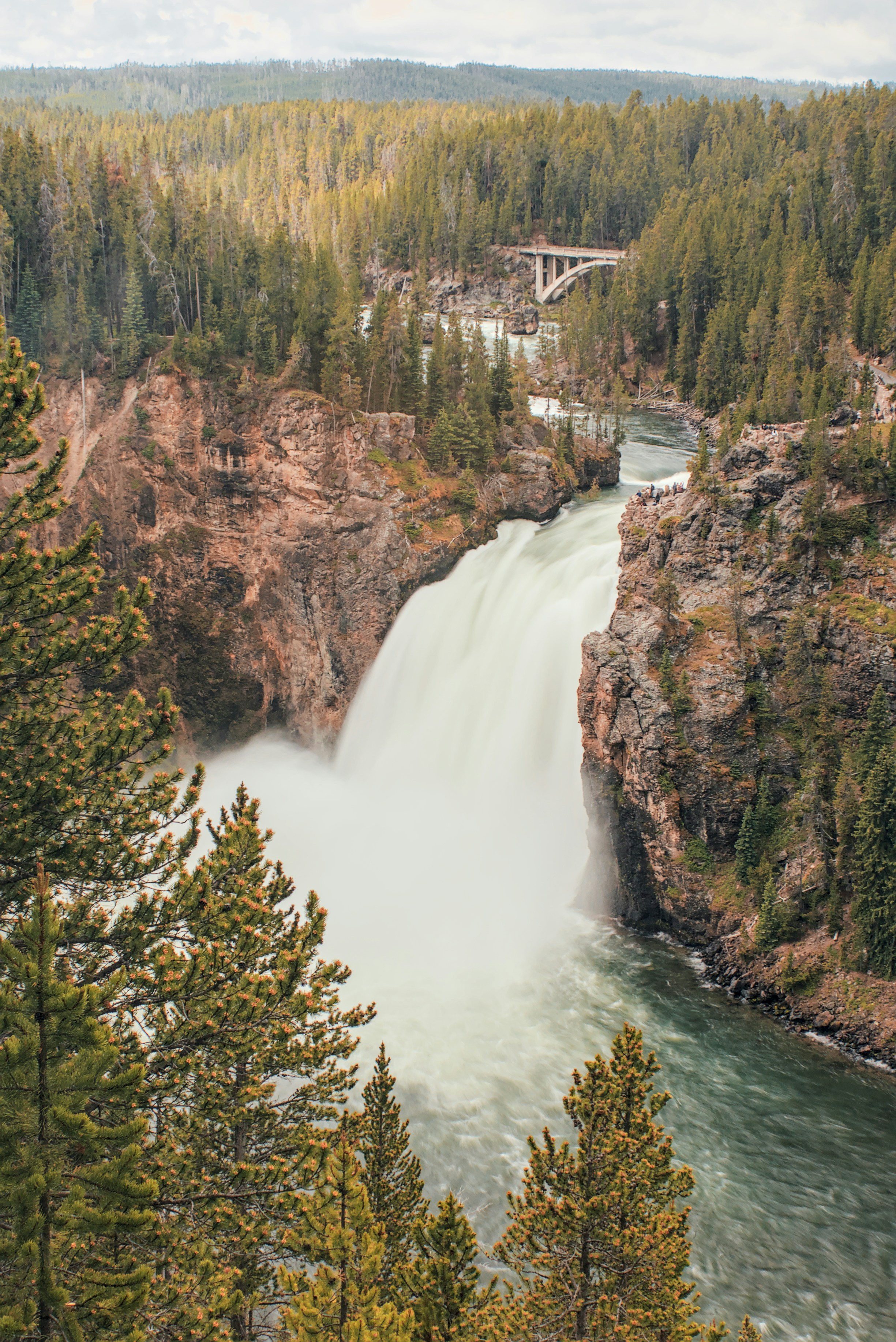 Une cascade au milieu d’une forêt