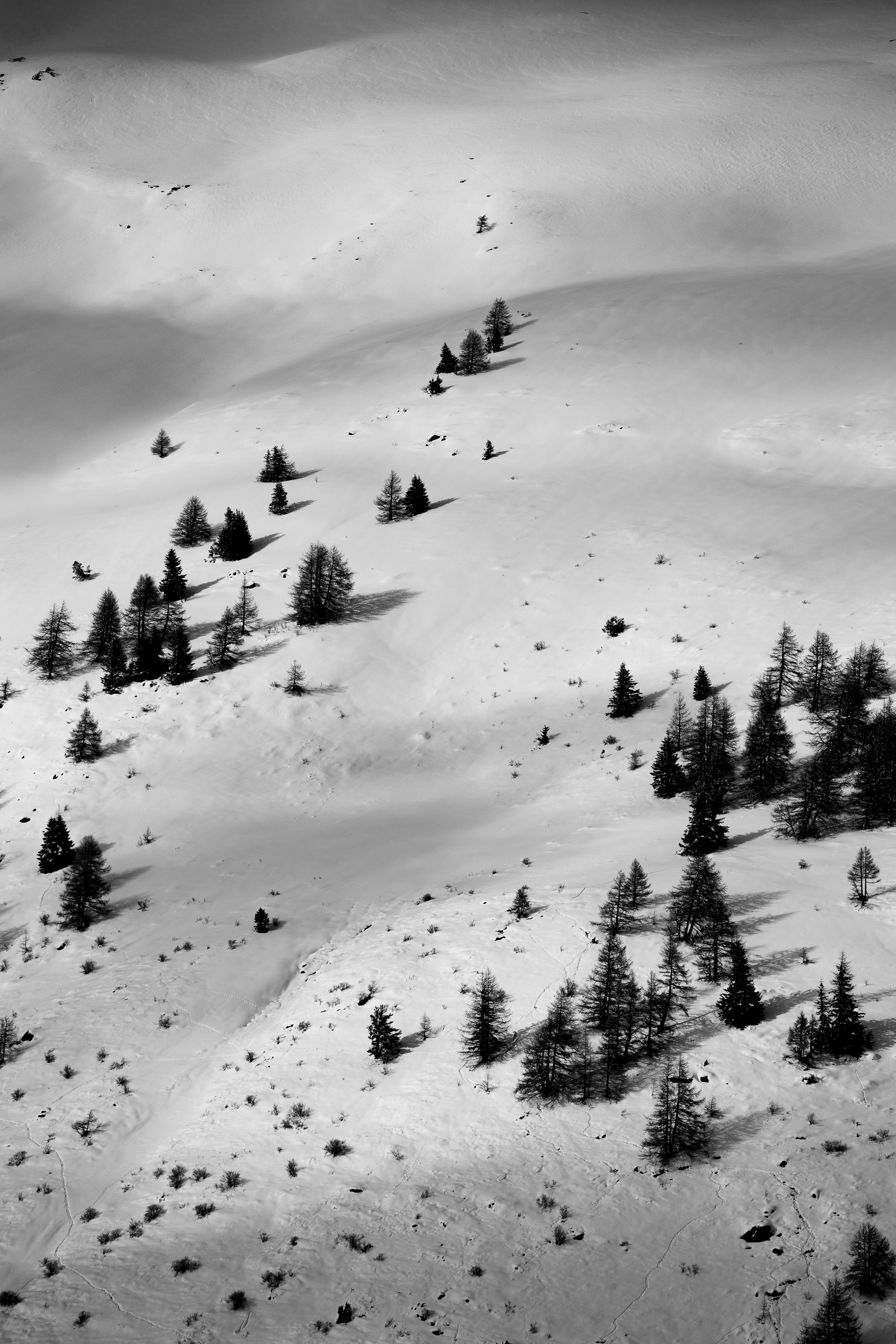 Photo by edoardo_cuoghi_98