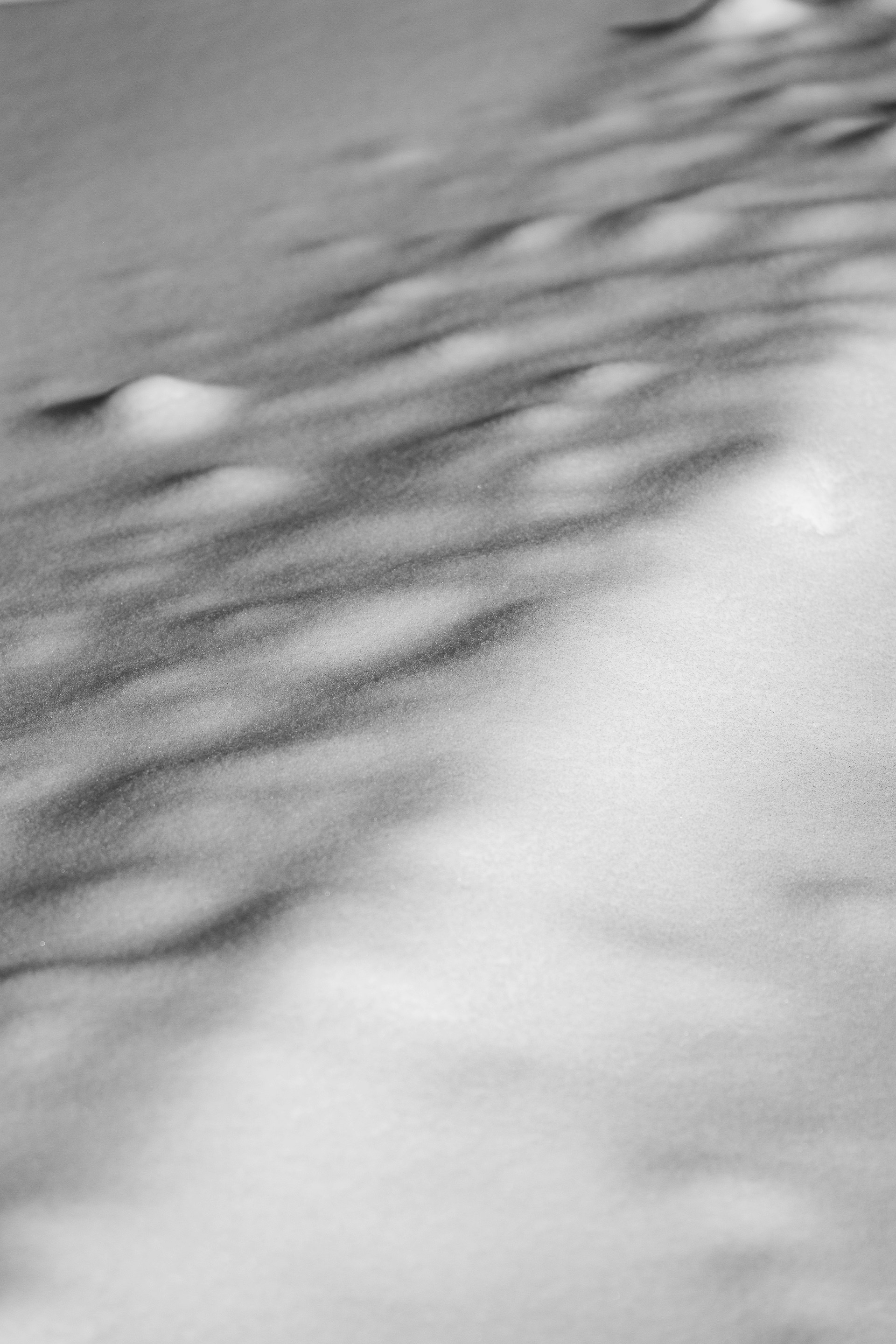 Photo by edoardo_cuoghi_98