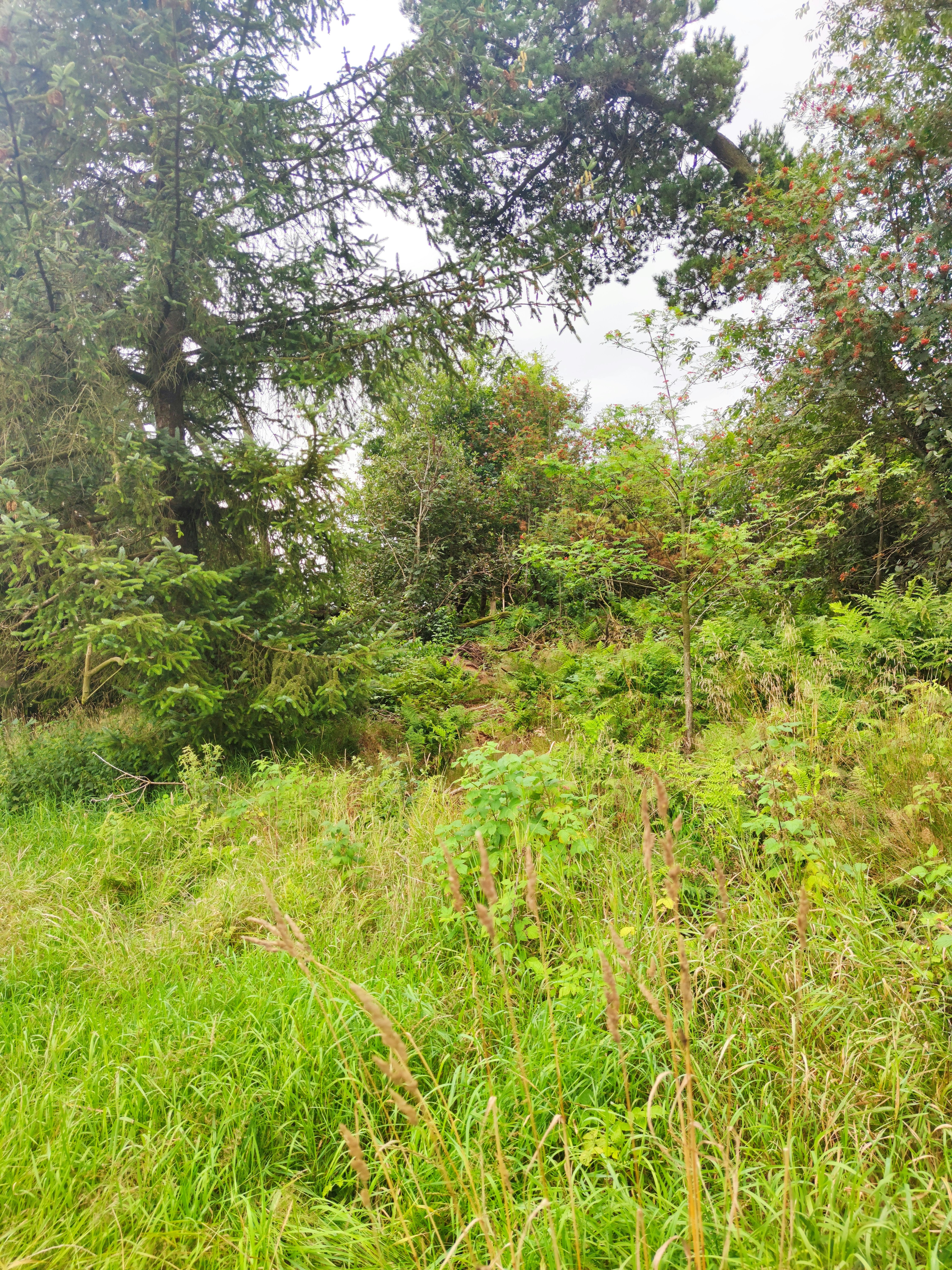 Photo by henrikvoiceofdenmark