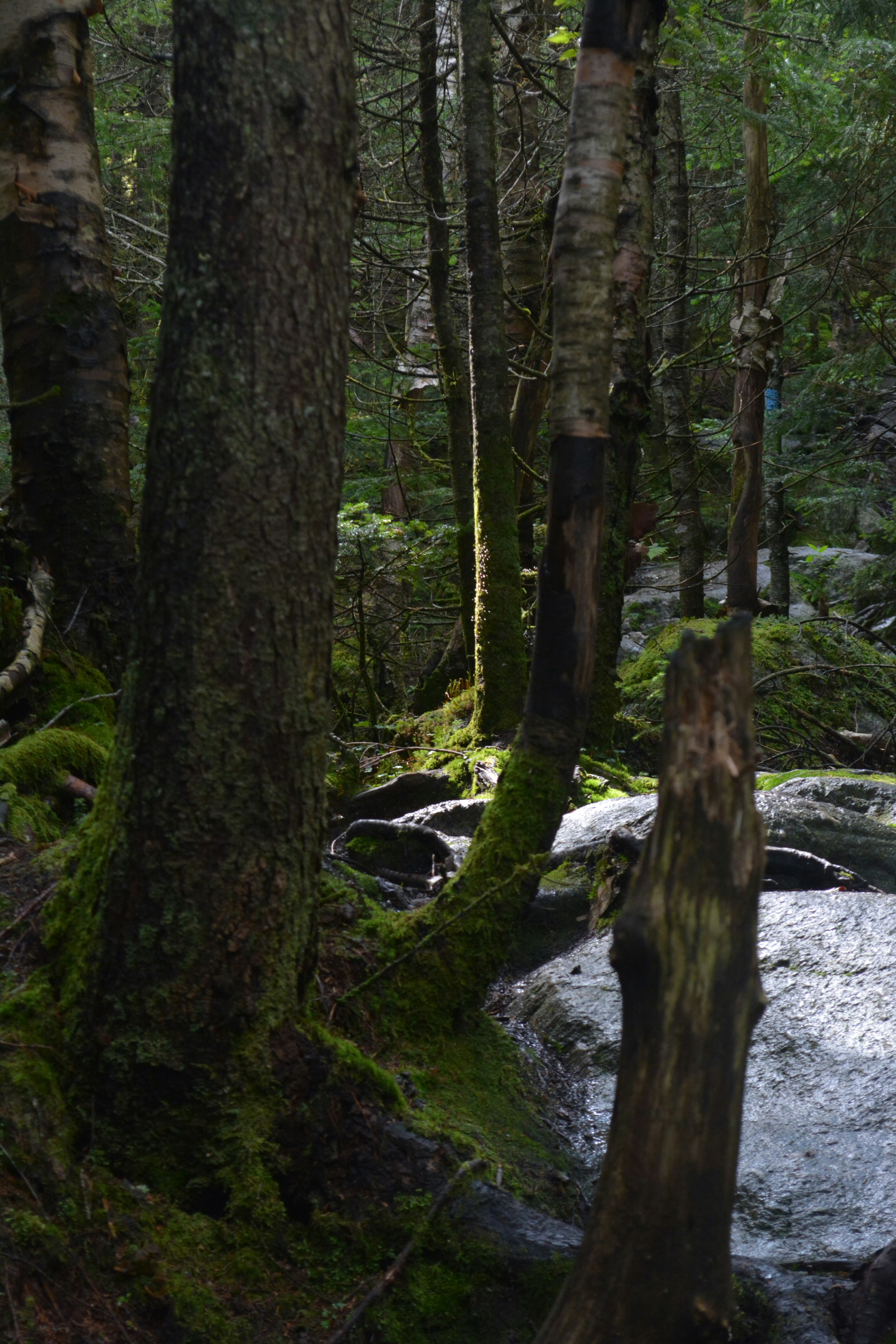 Photo by jhudsongraves