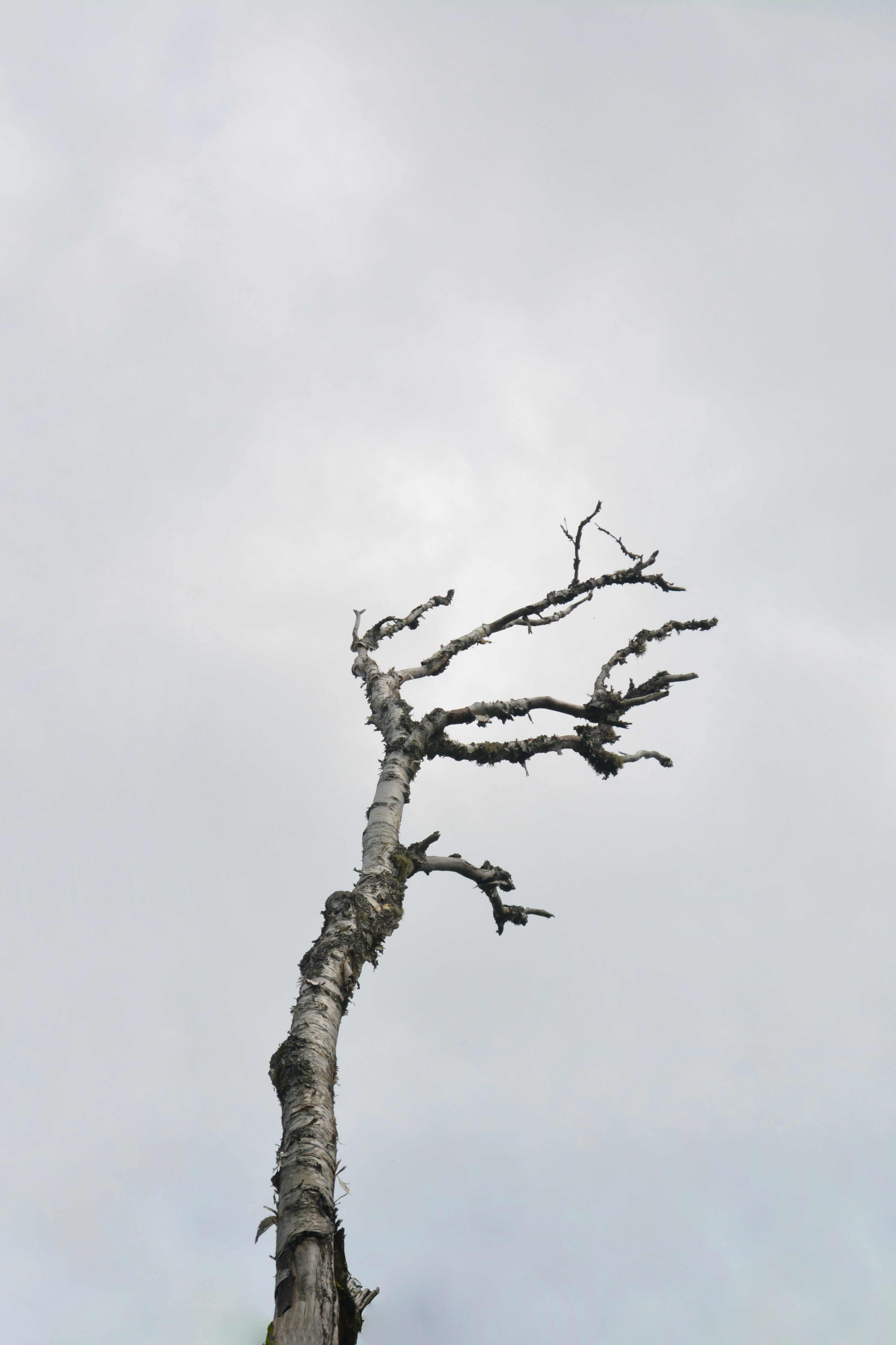 Photo by jhudsongraves