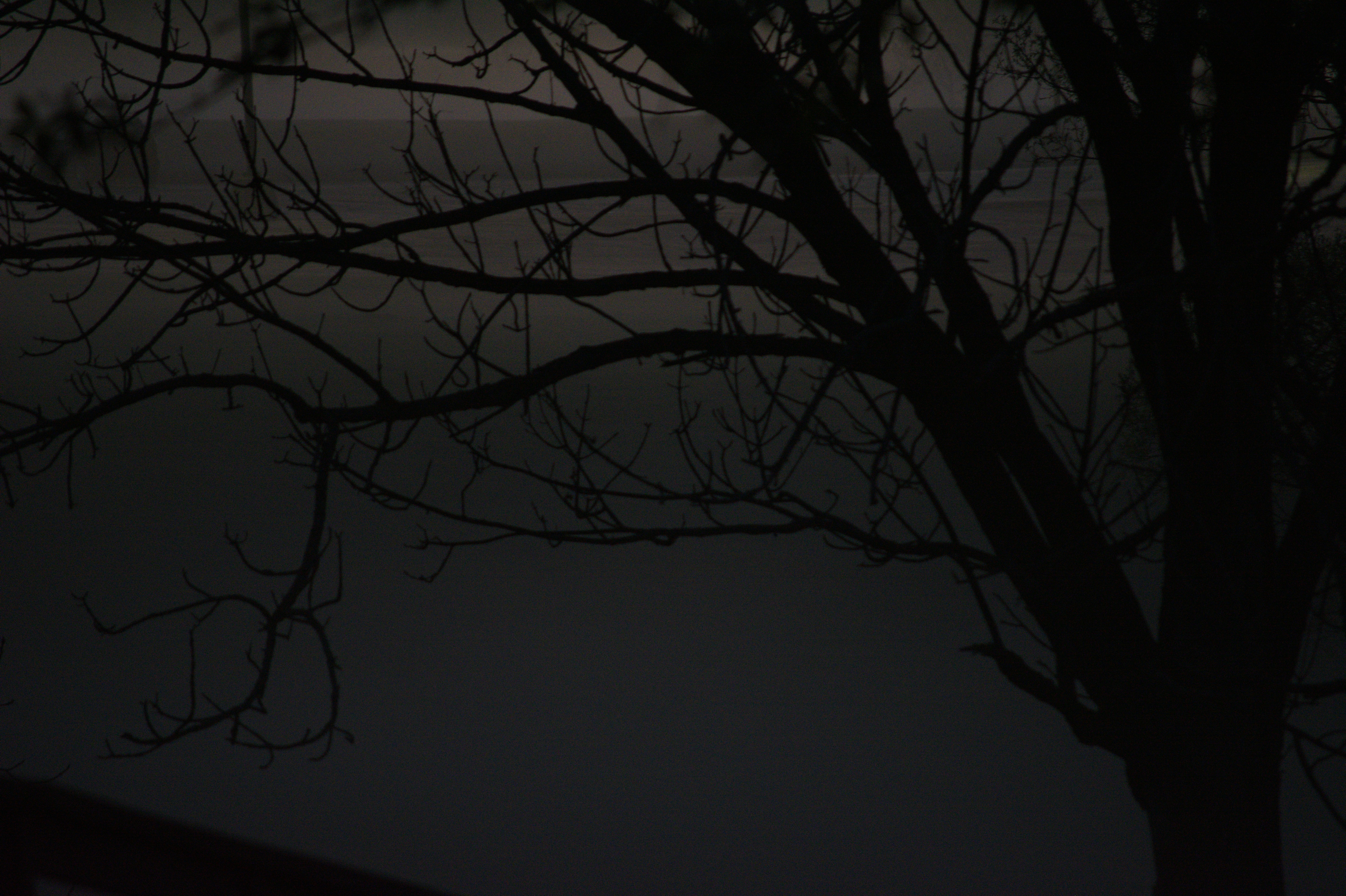 Photo by jhudsongraves