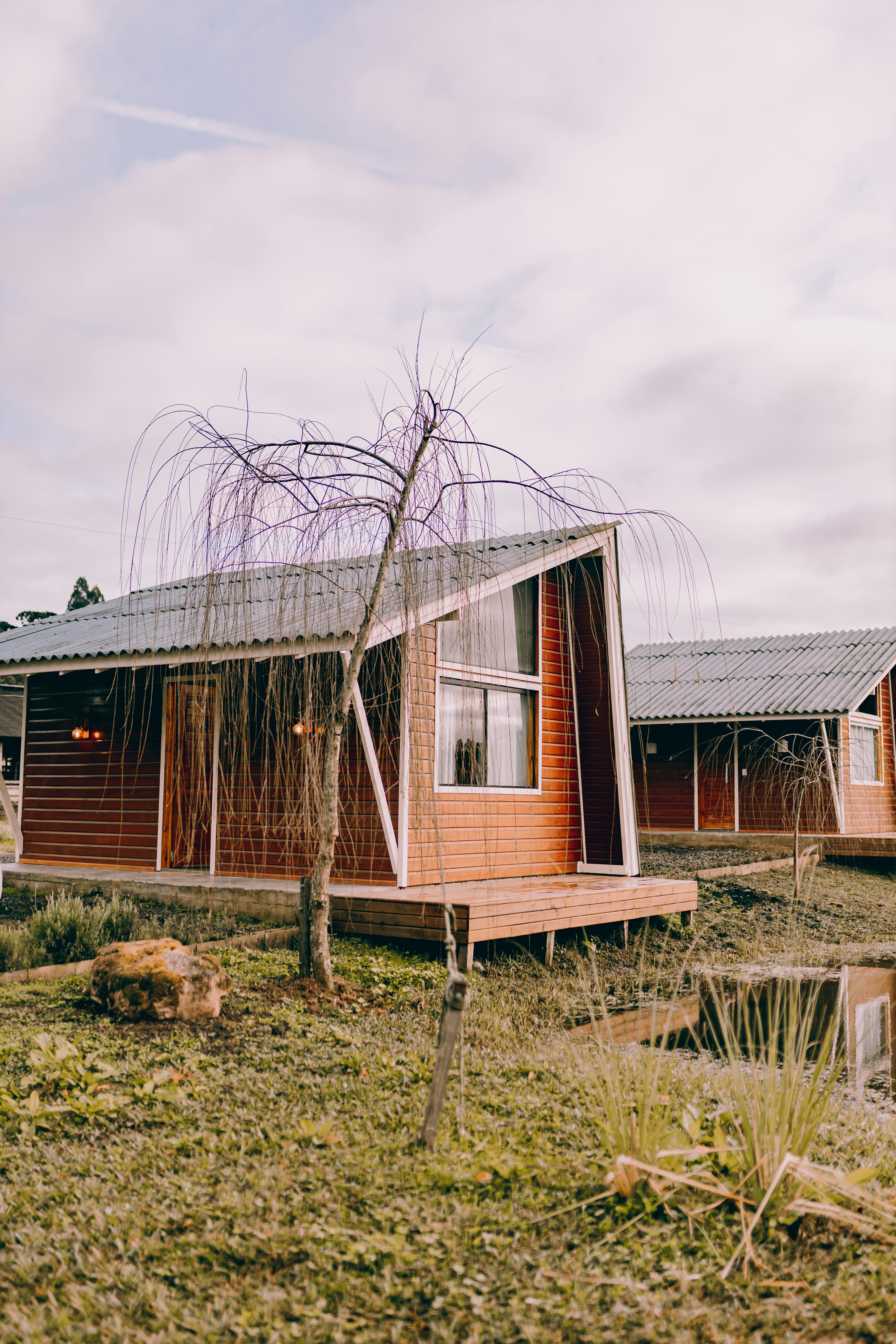 Photo by alexandermassph