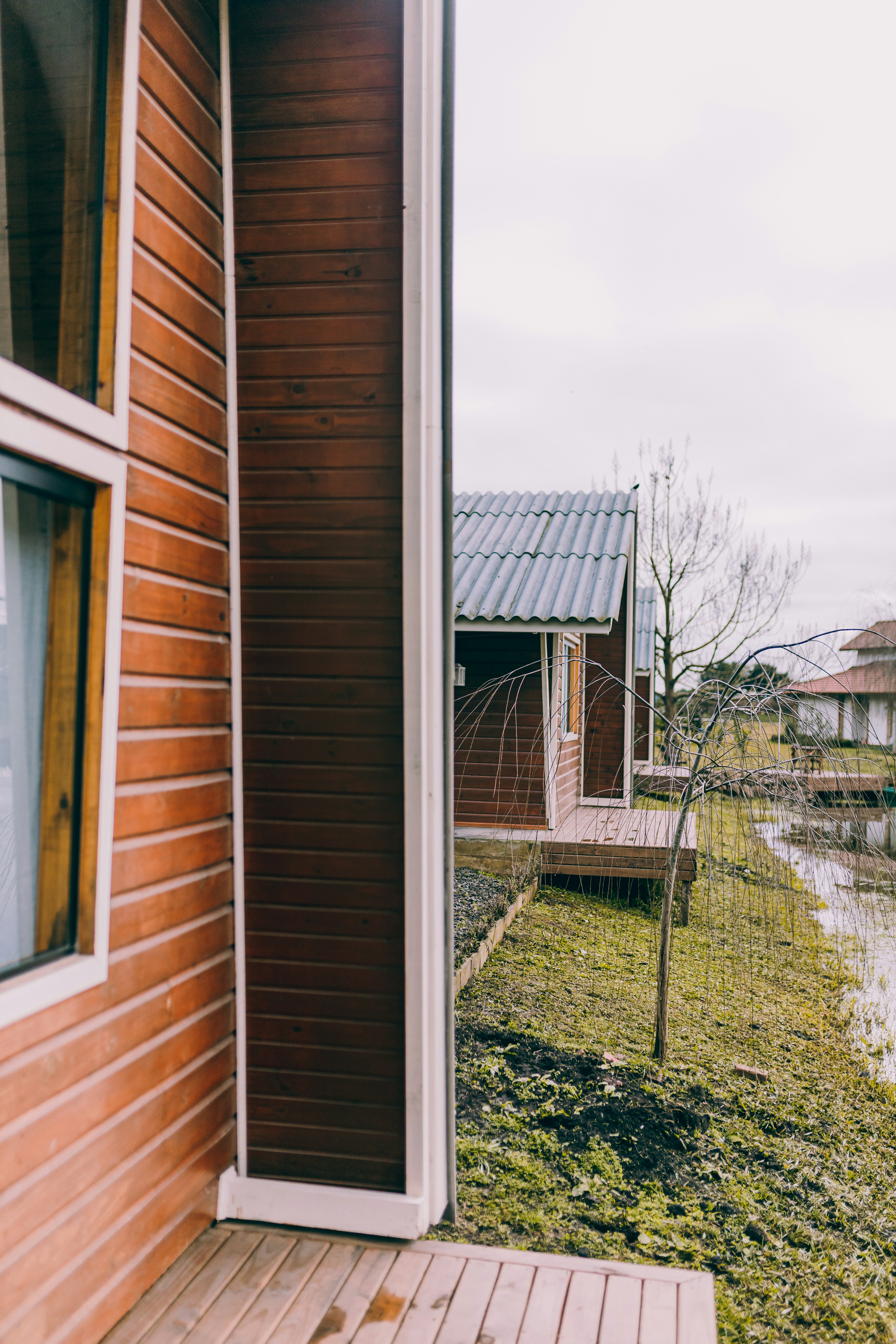 Photo by alexandermassph