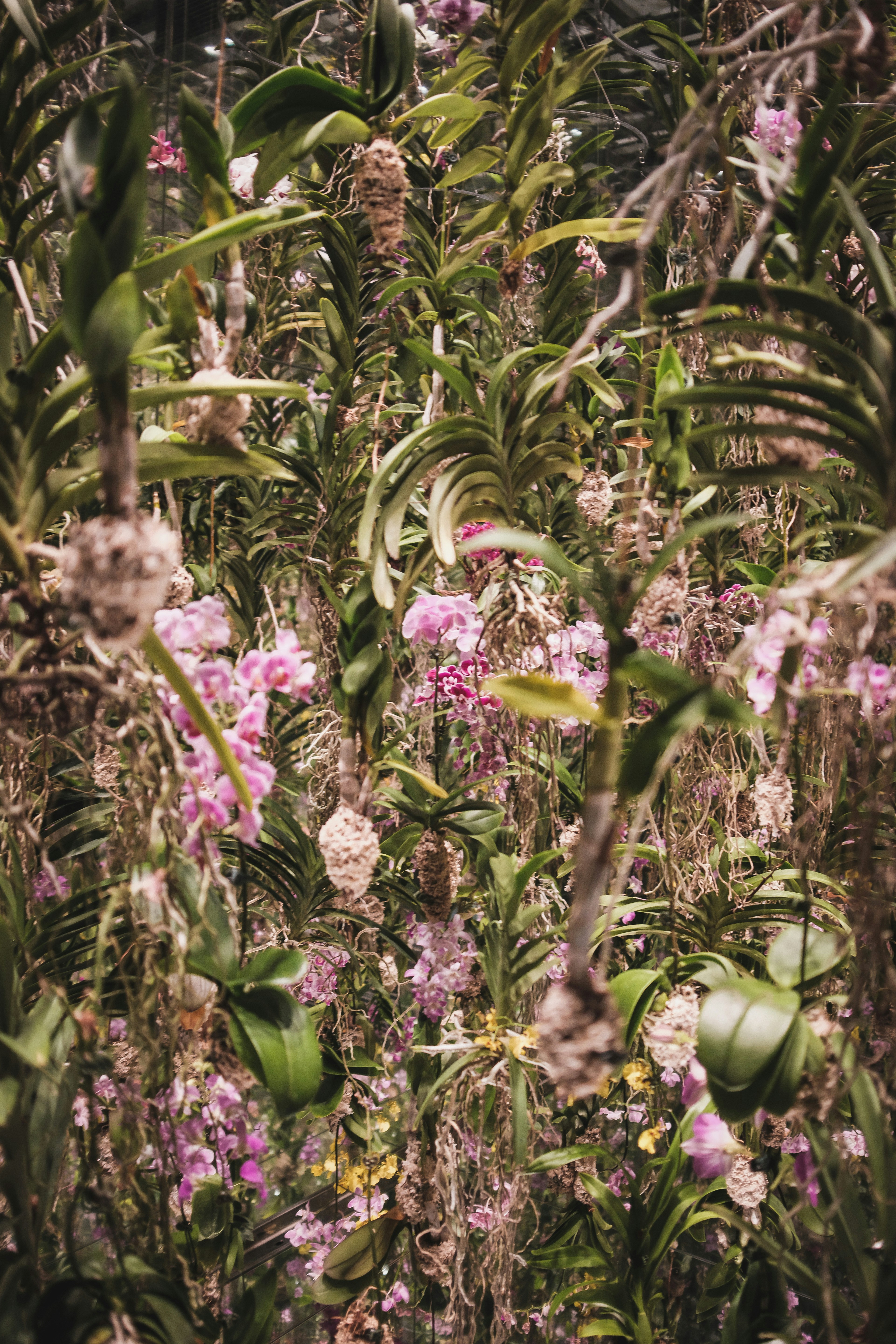 Photo by whoisflo