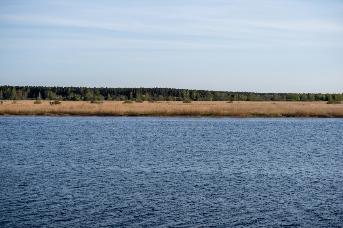 The seaside coast of Jurmala near Riga