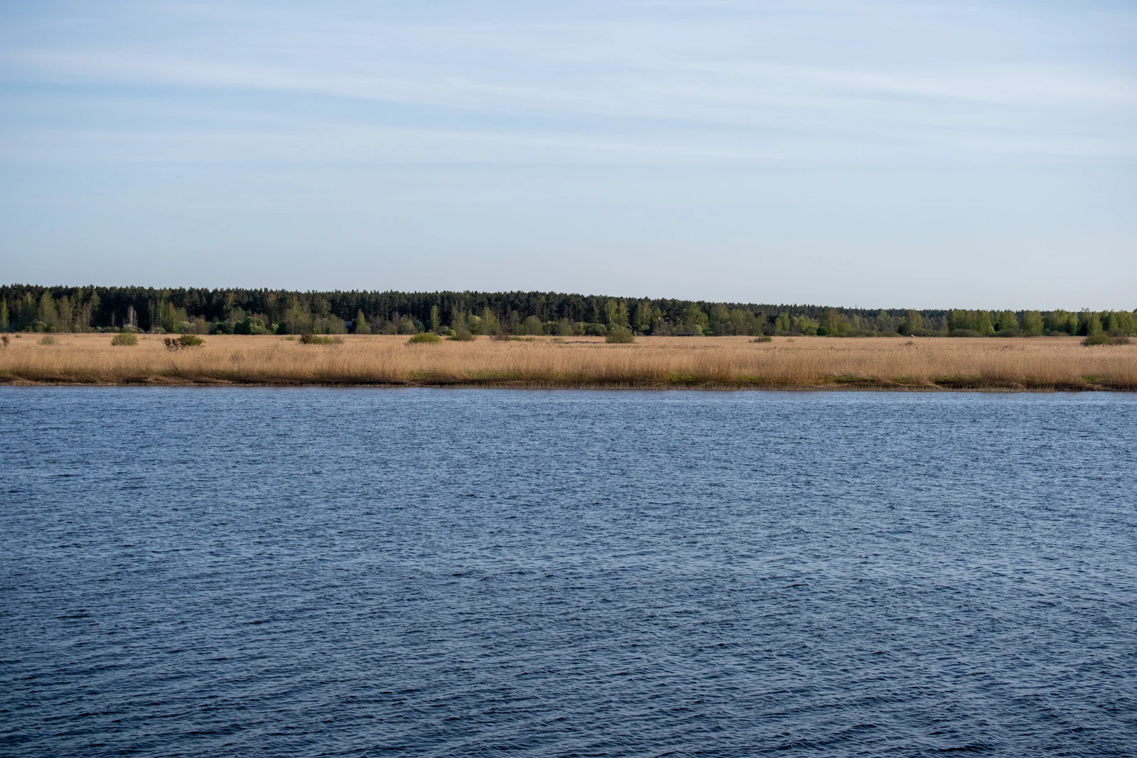 The flat Baltic shore at Jūrmala, sea, reeds and a line of forest