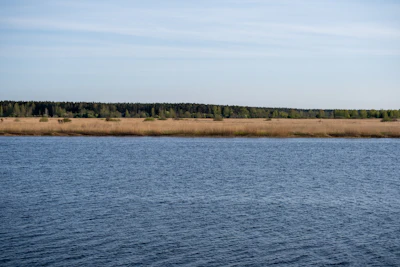 The flat Baltic shore at Jūrmala, sea, reeds and a line of forest
