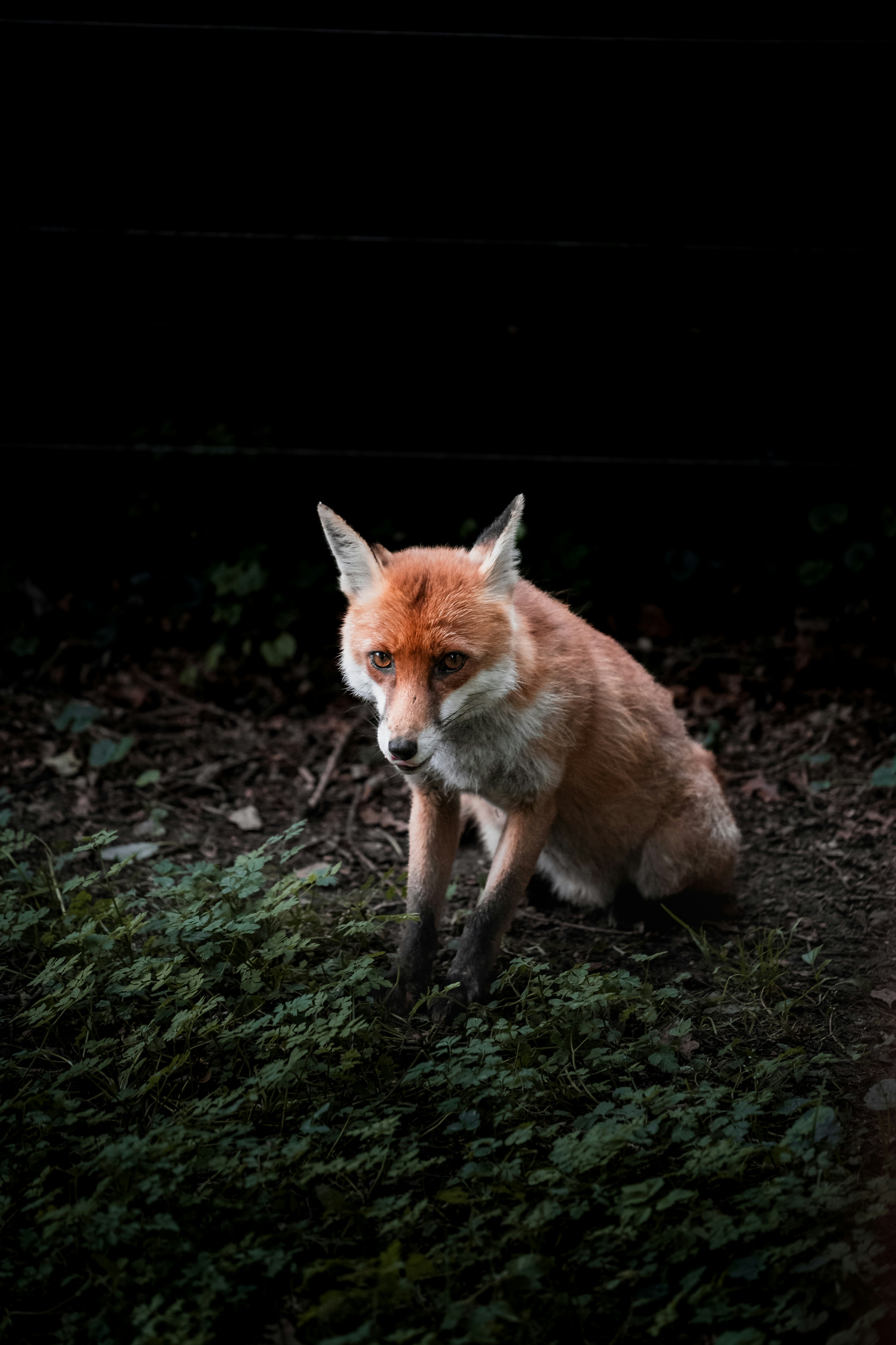 Photo by tobychristopher