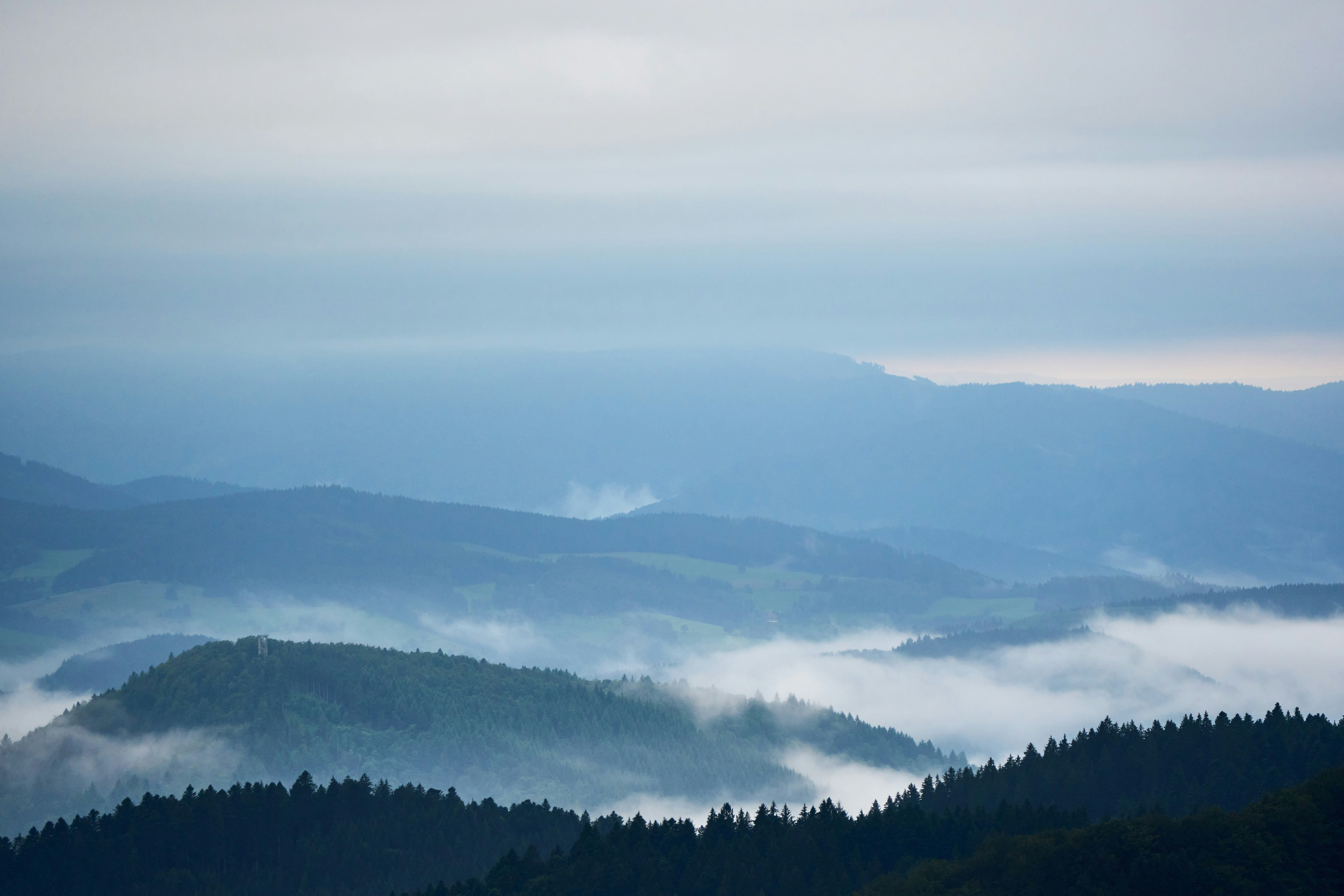 Photo by wolfgang_hasselmann