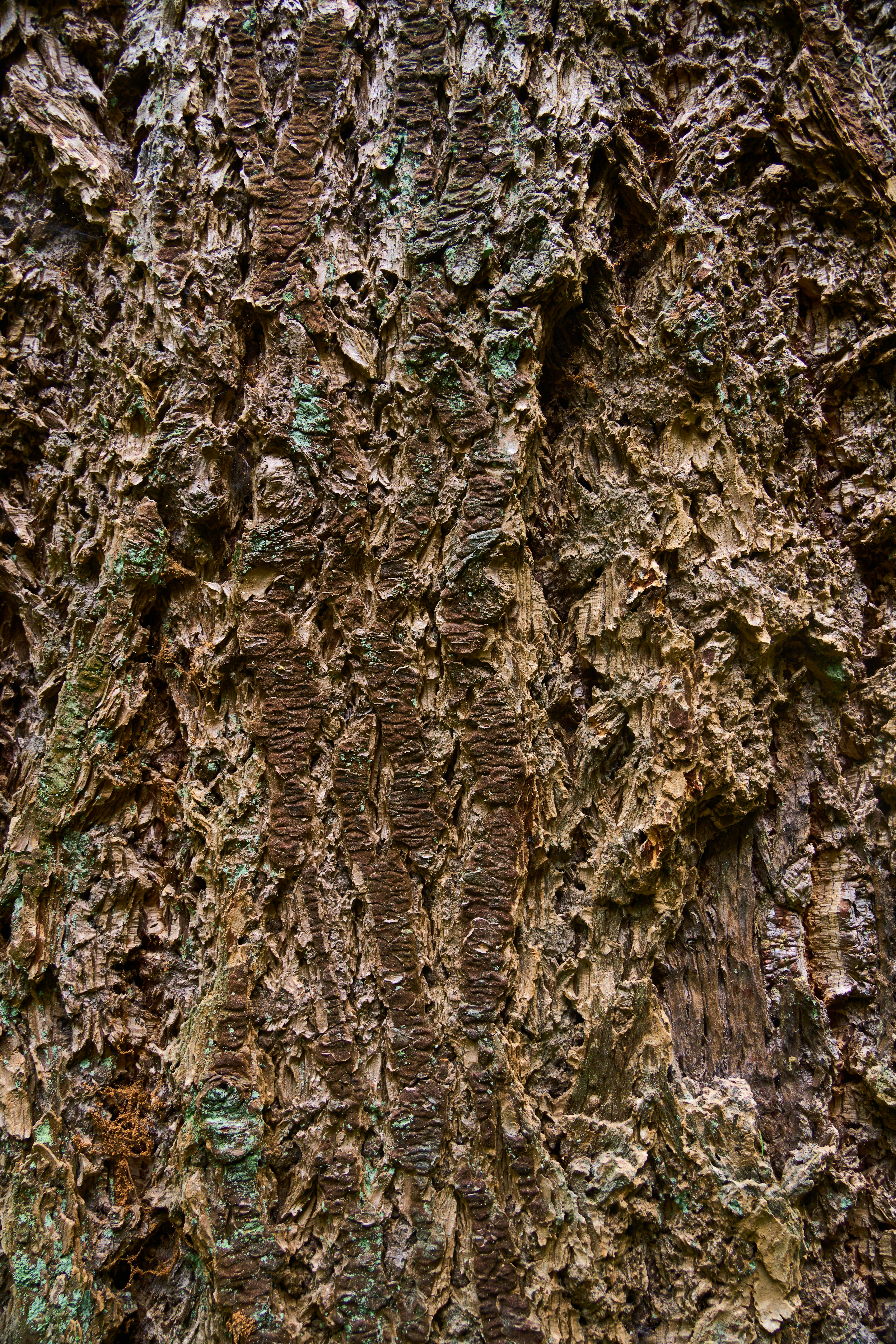 Photo by wolfgang_hasselmann