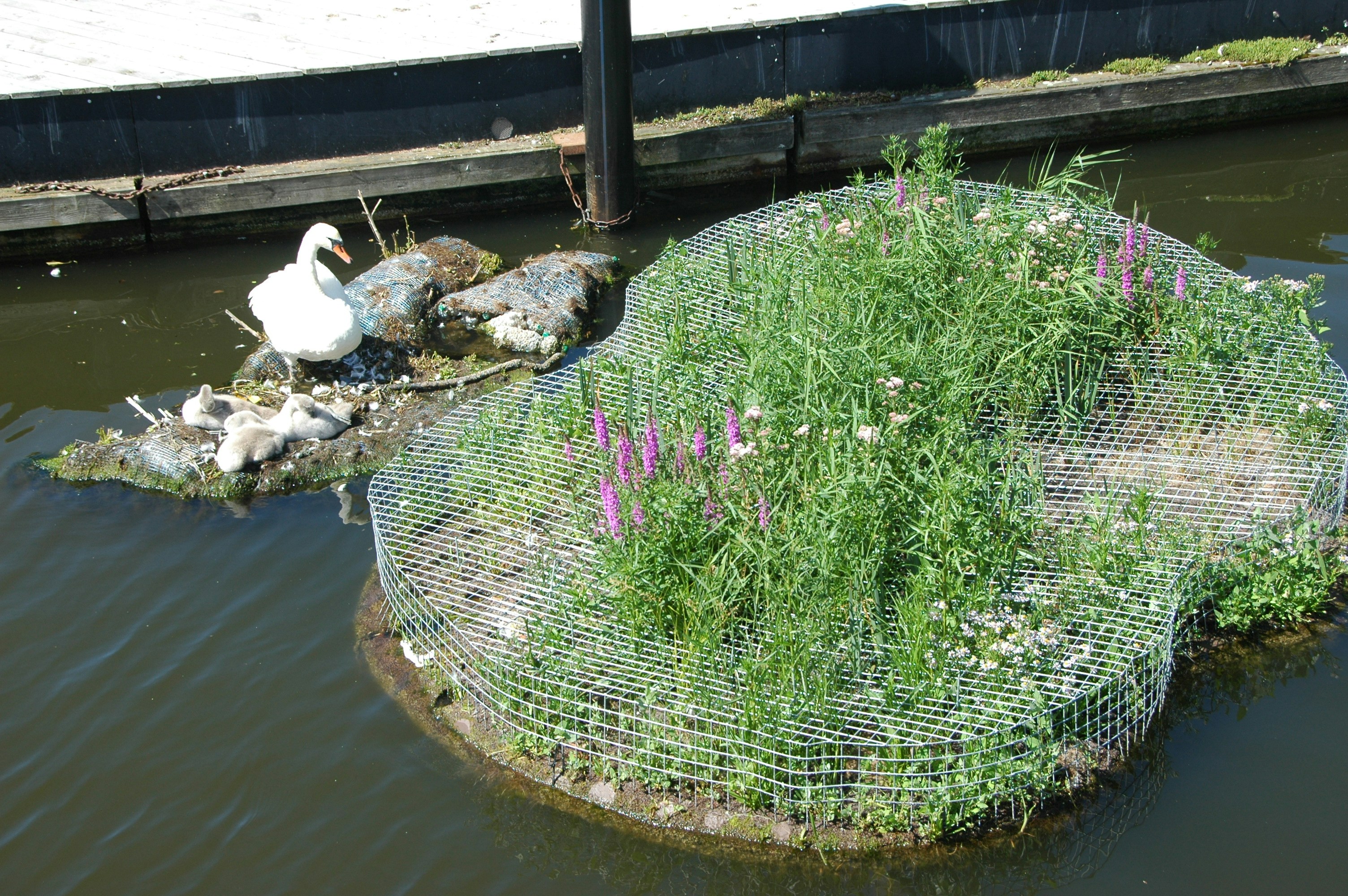 Künstliche Intelligenz Konzeptbild