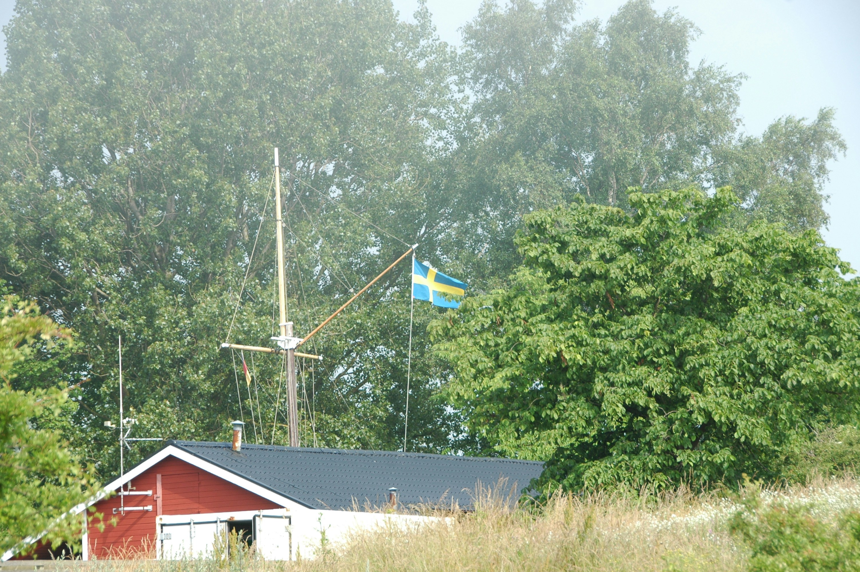 Swedish flag flying high