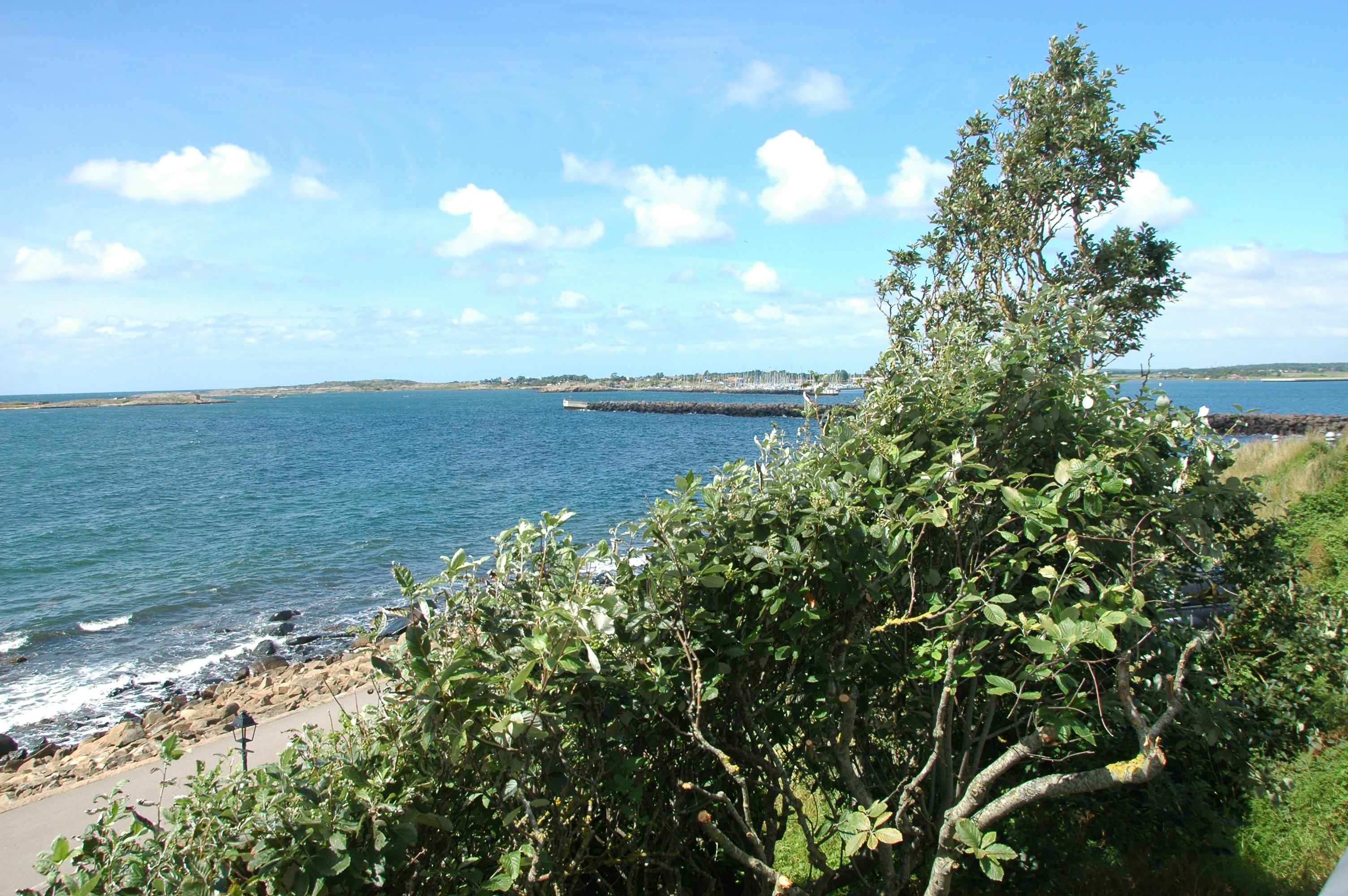 Photo by thomaslohmann