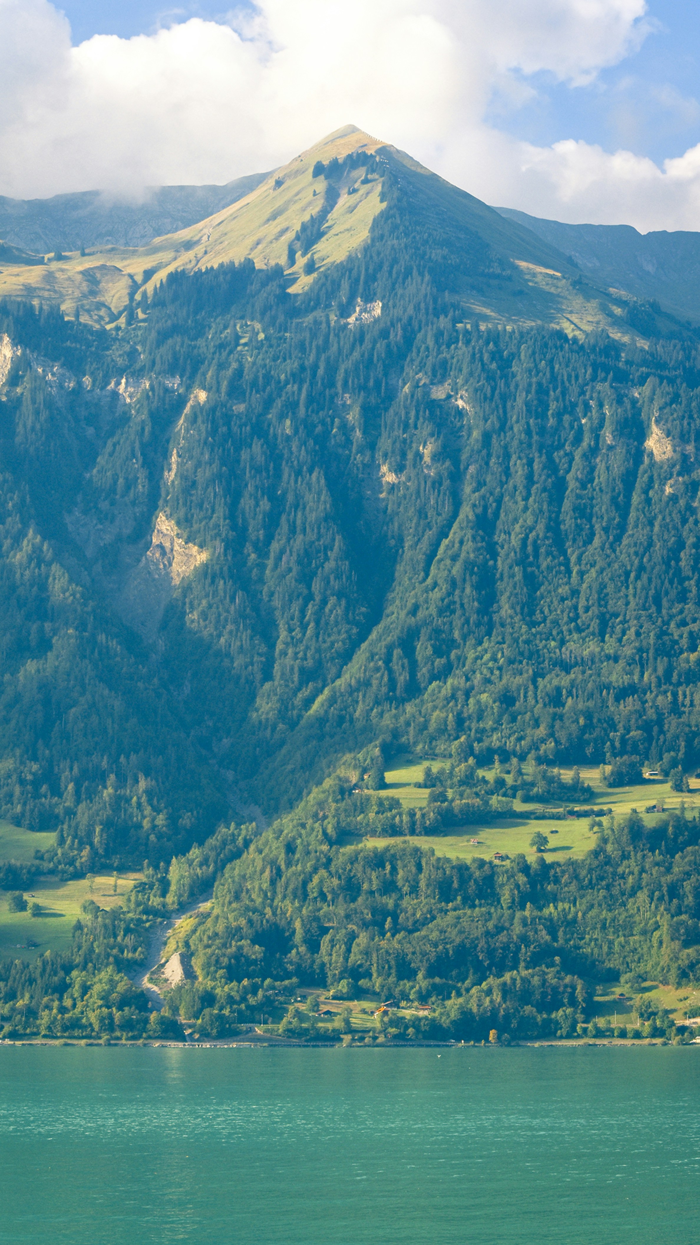 Photo by nandaphotos