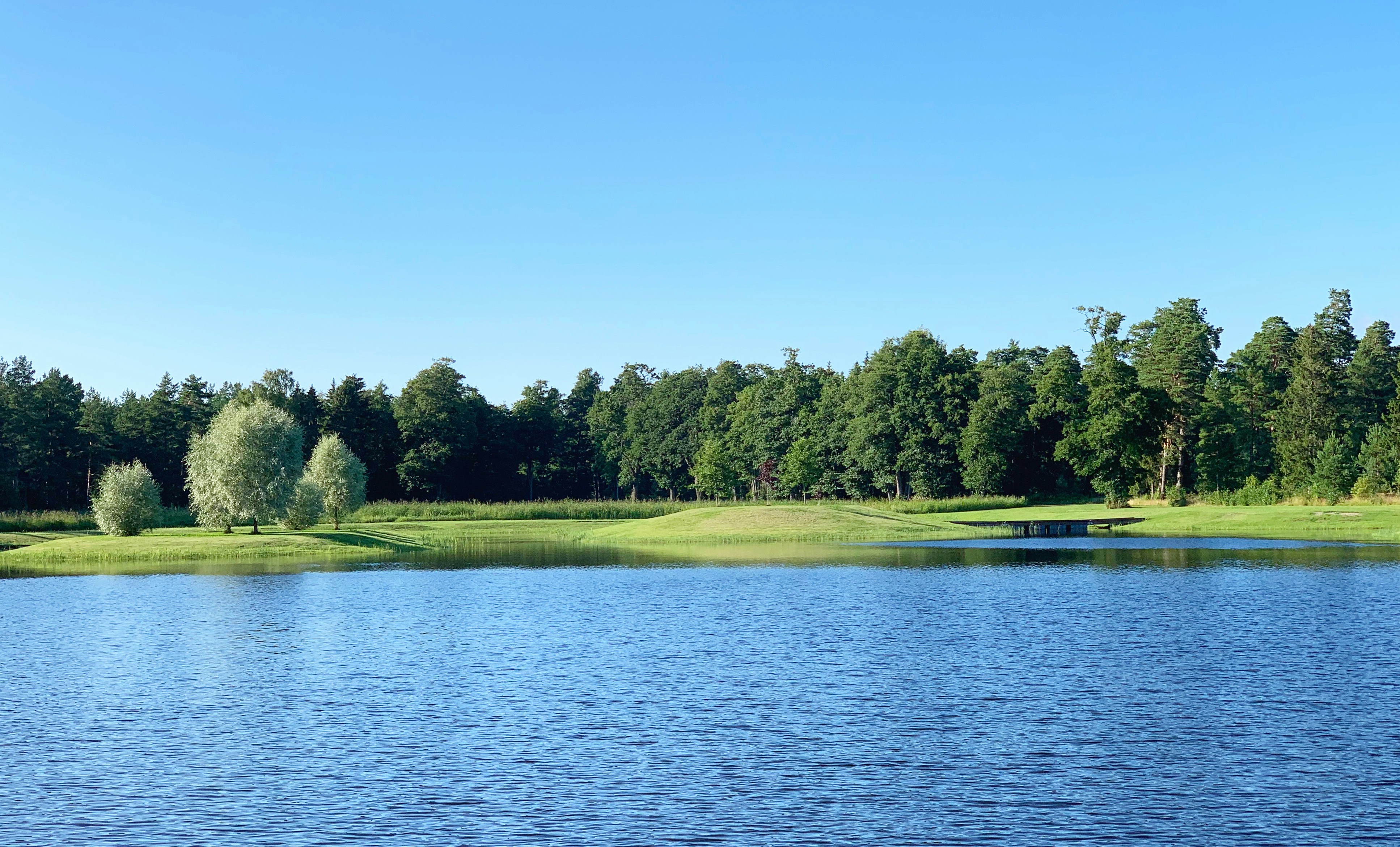 Photo by sergei_gussev