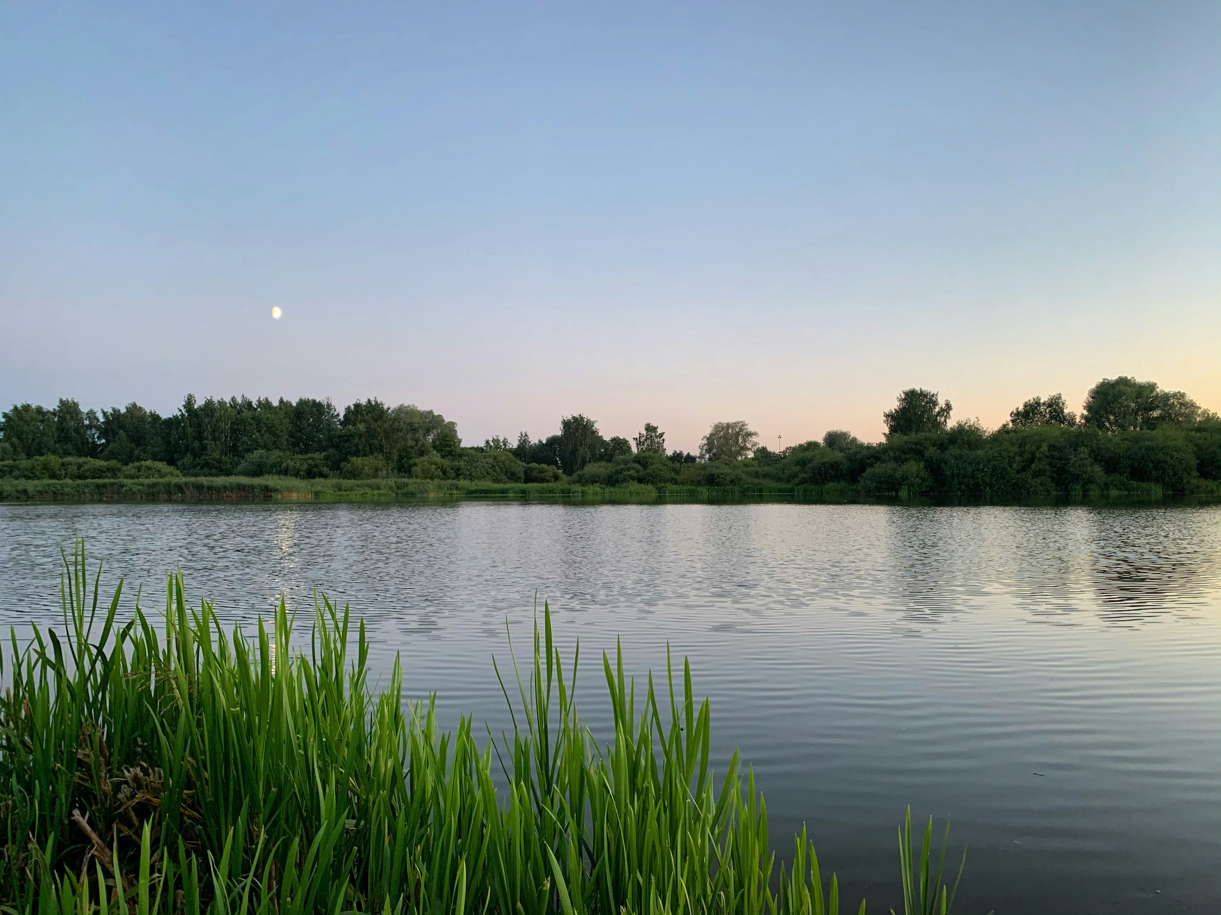 Photo by sergei_gussev