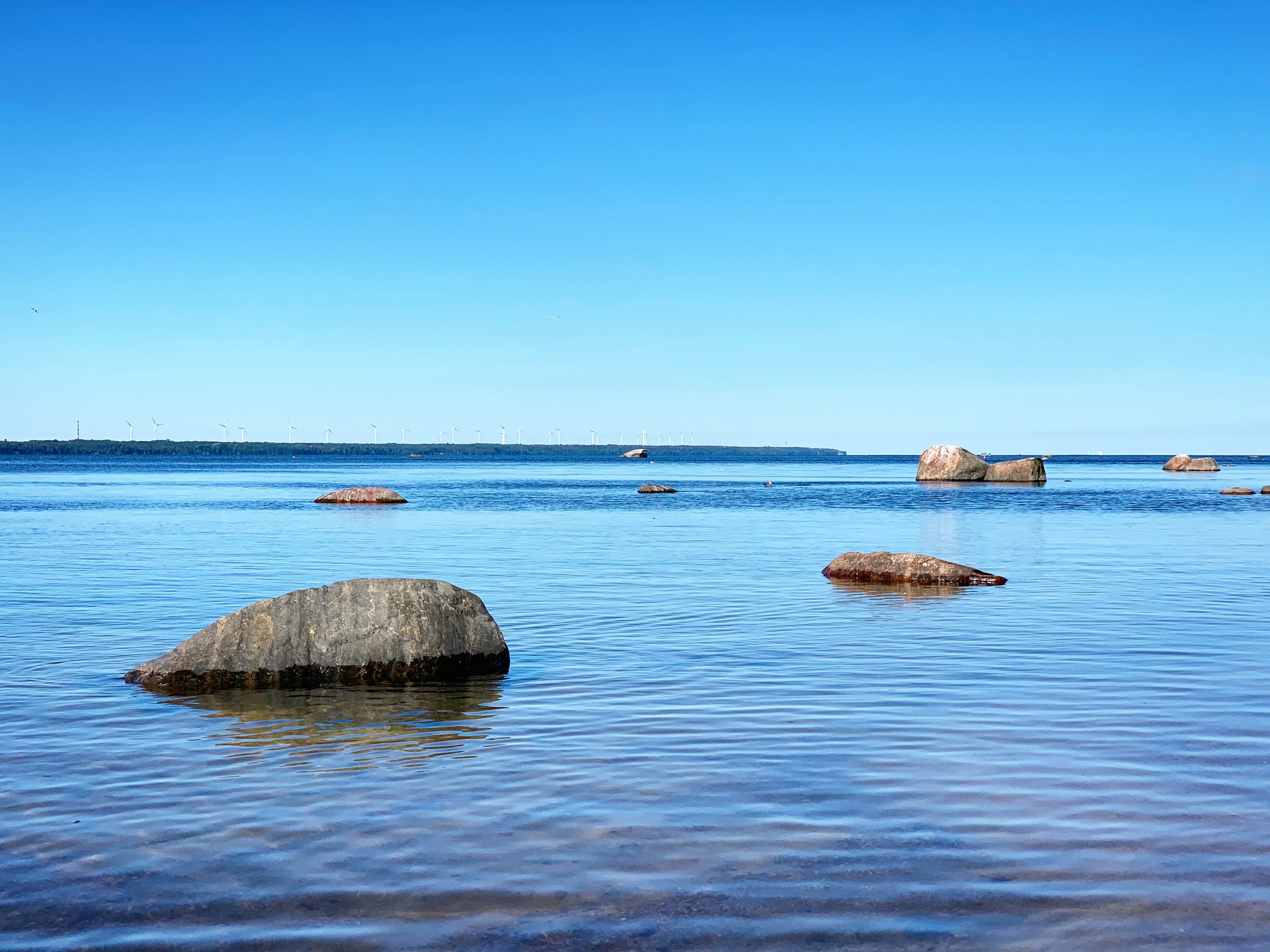 Photo by sergei_gussev