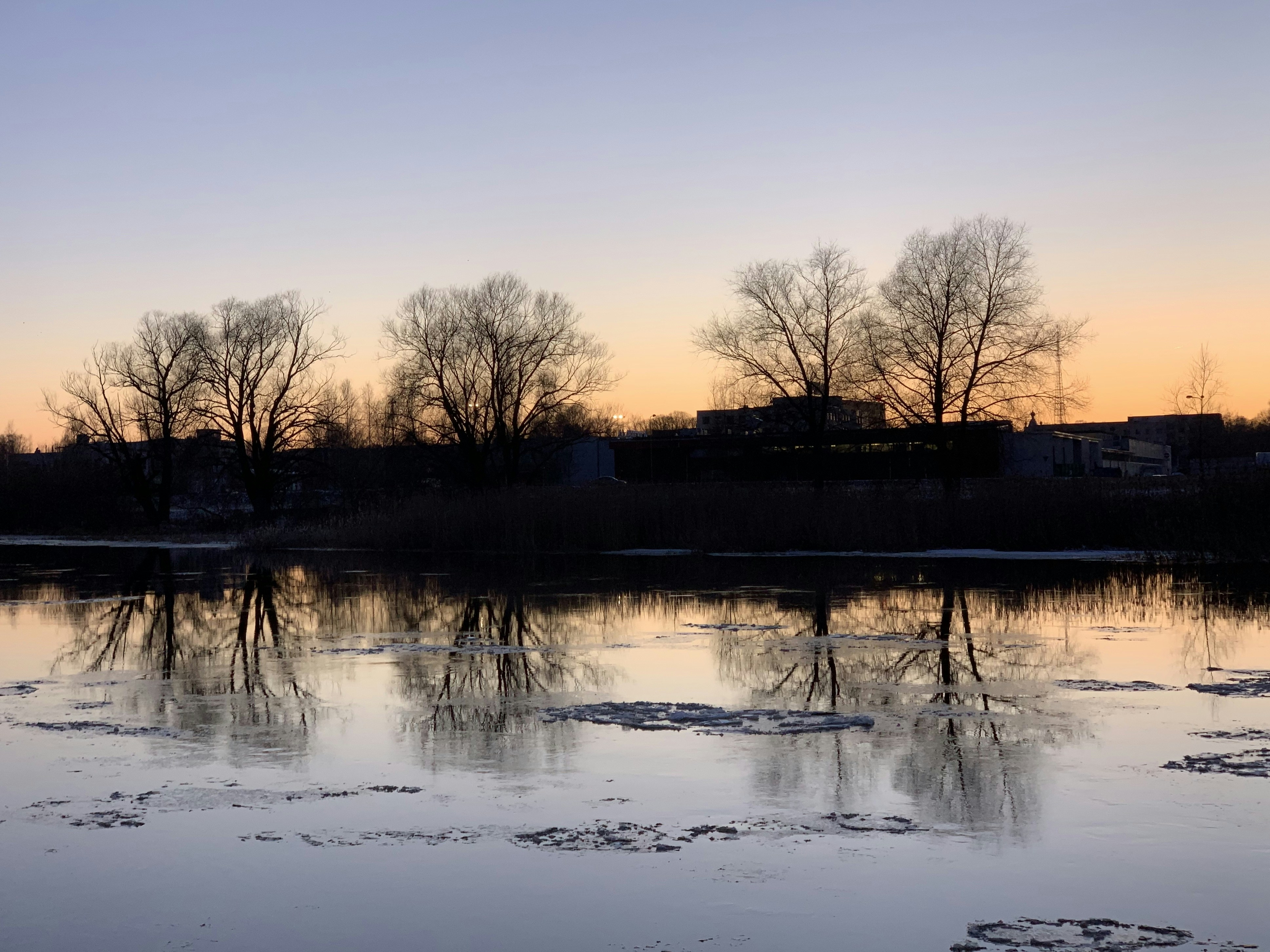 Photo by sergei_gussev