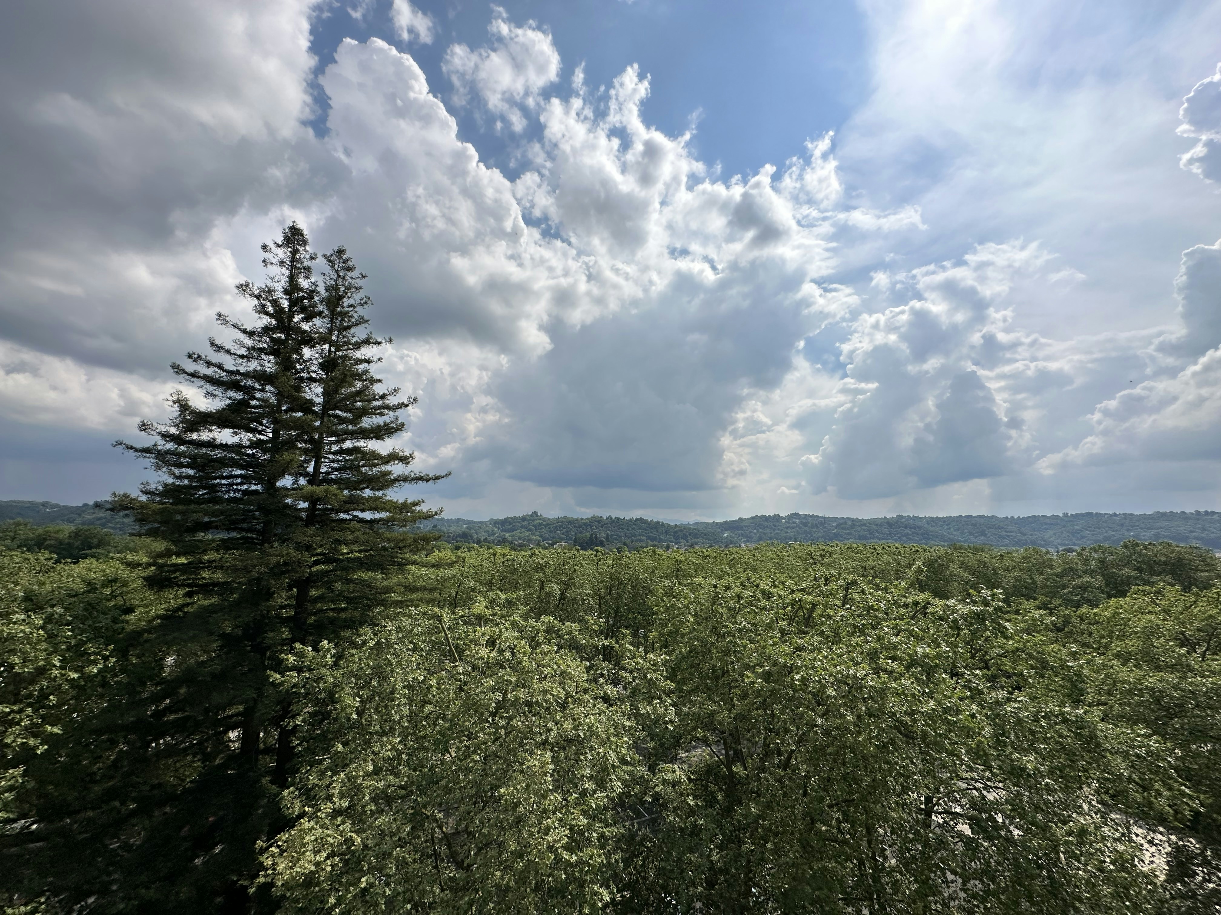 Photo by sergei_gussev