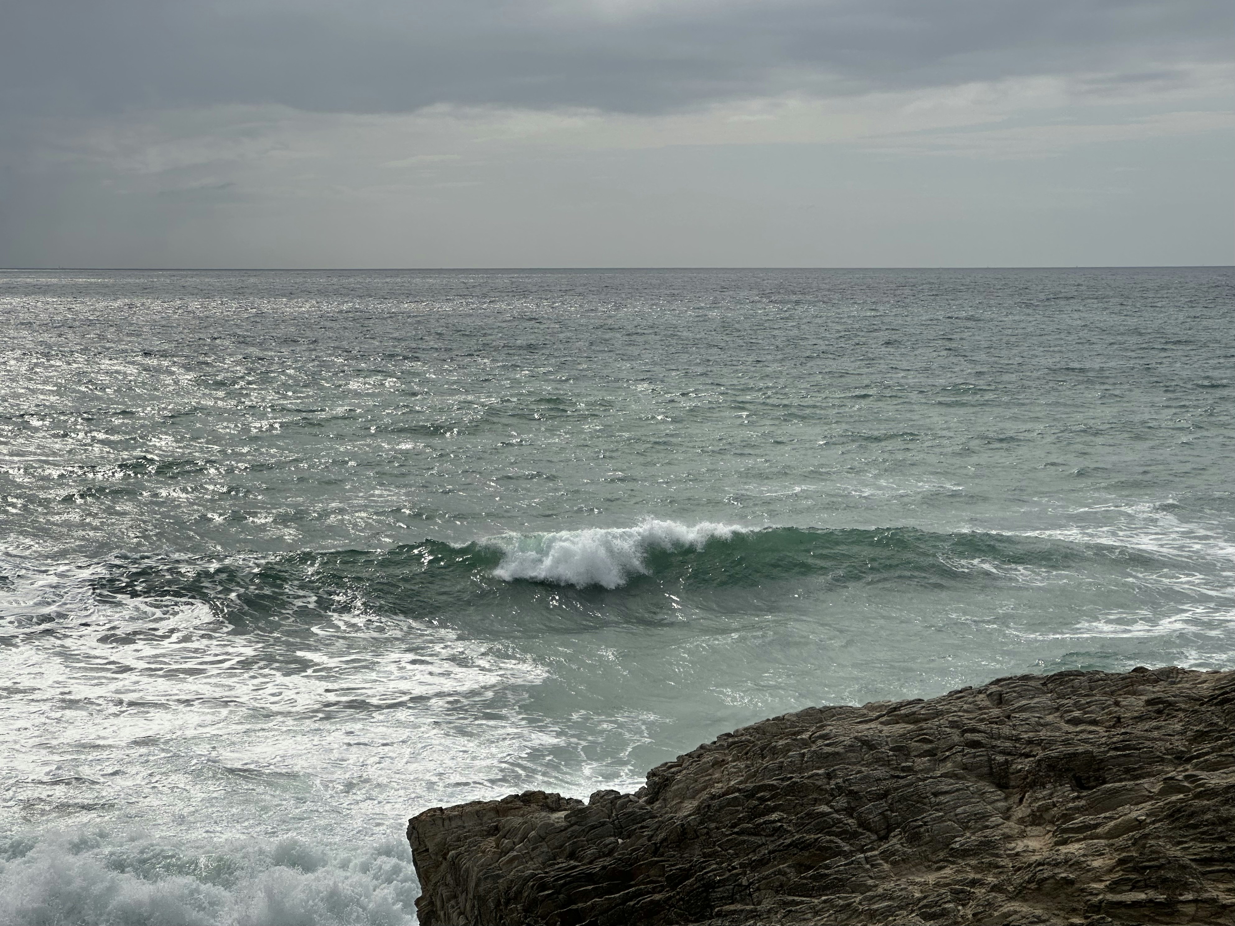 Photo by sergei_gussev