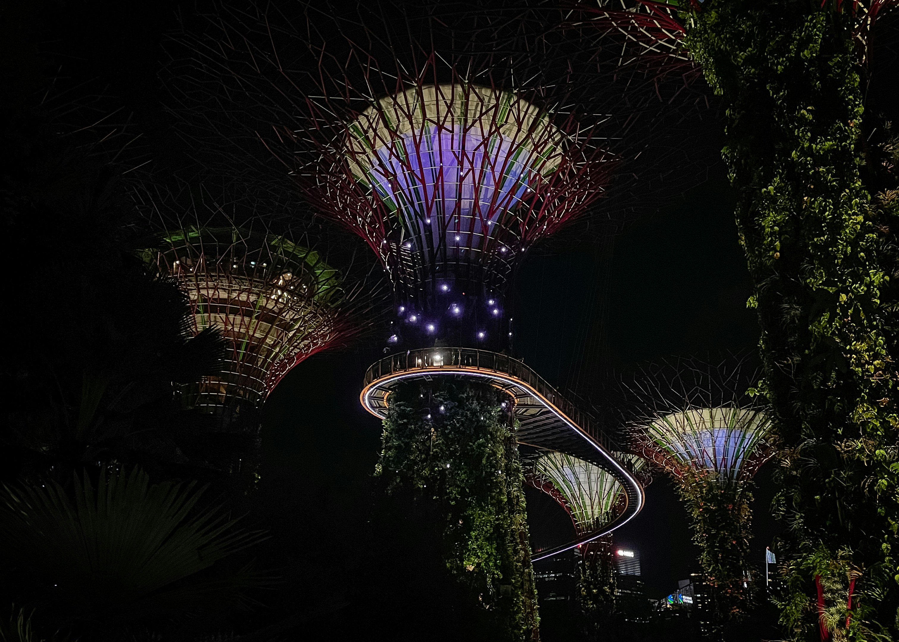 Uma vista noturna dos jardins à beira da baía