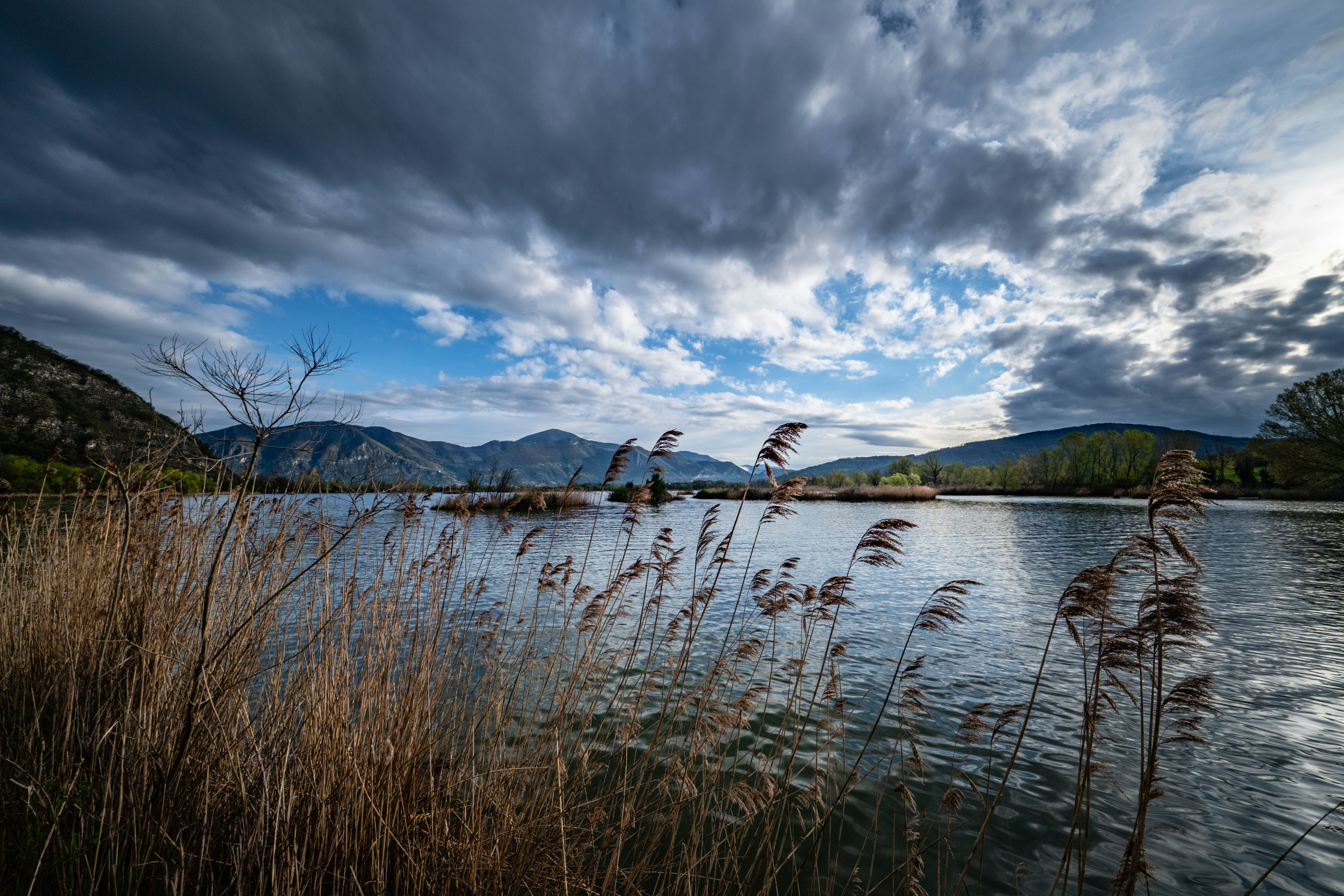 Photo by francesco_ungaro