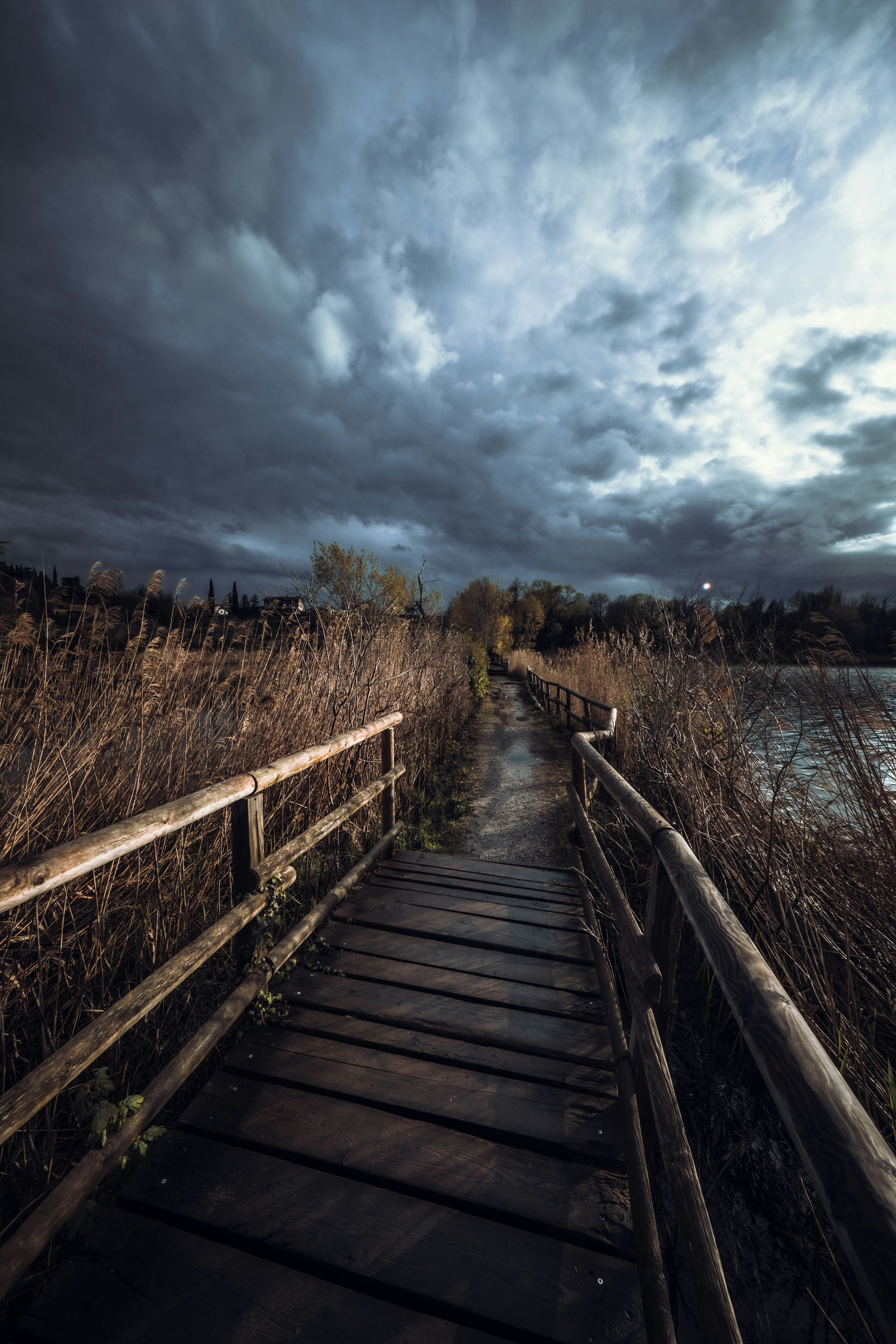 Photo by francesco_ungaro