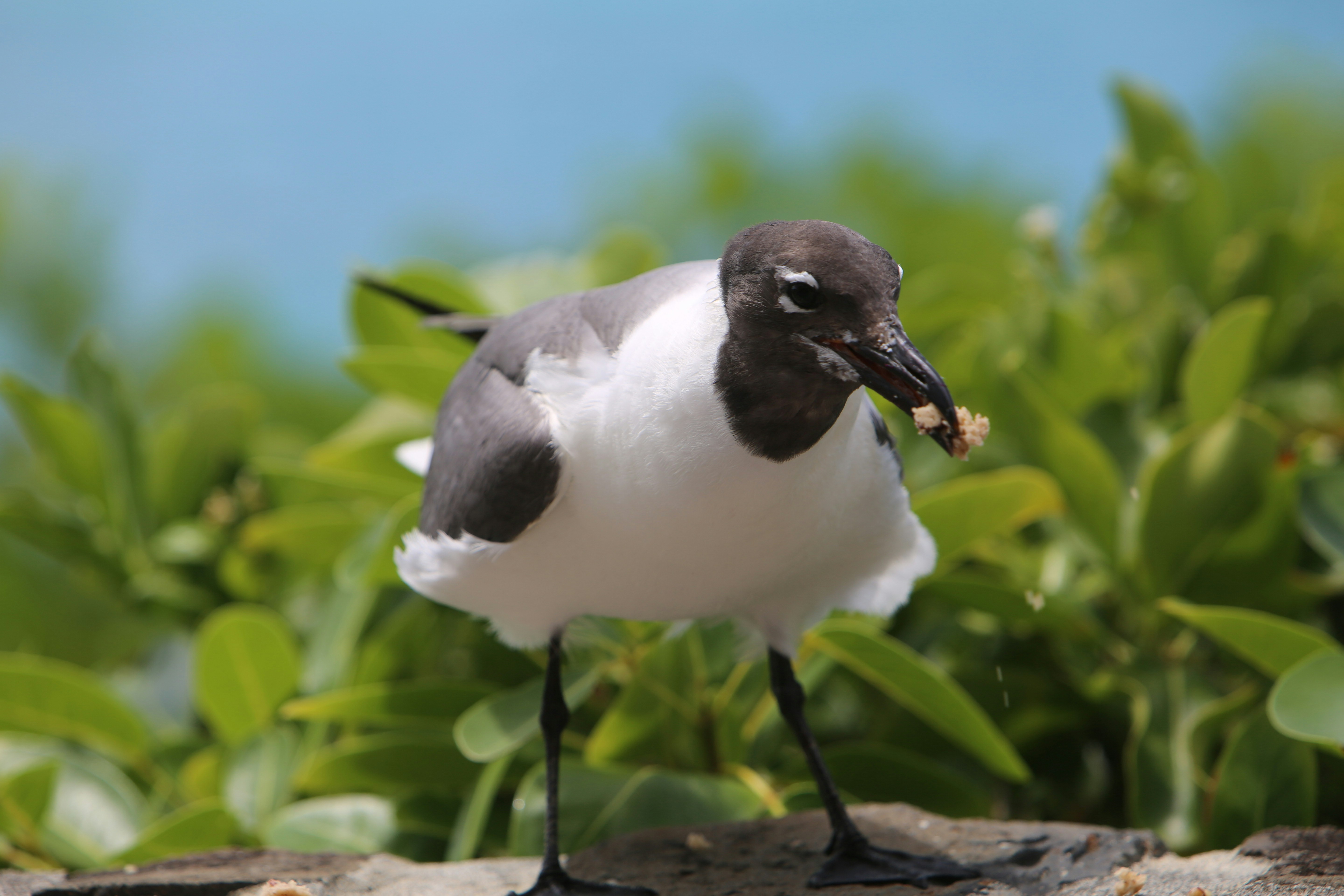 Photo by colin_p_hills_photography