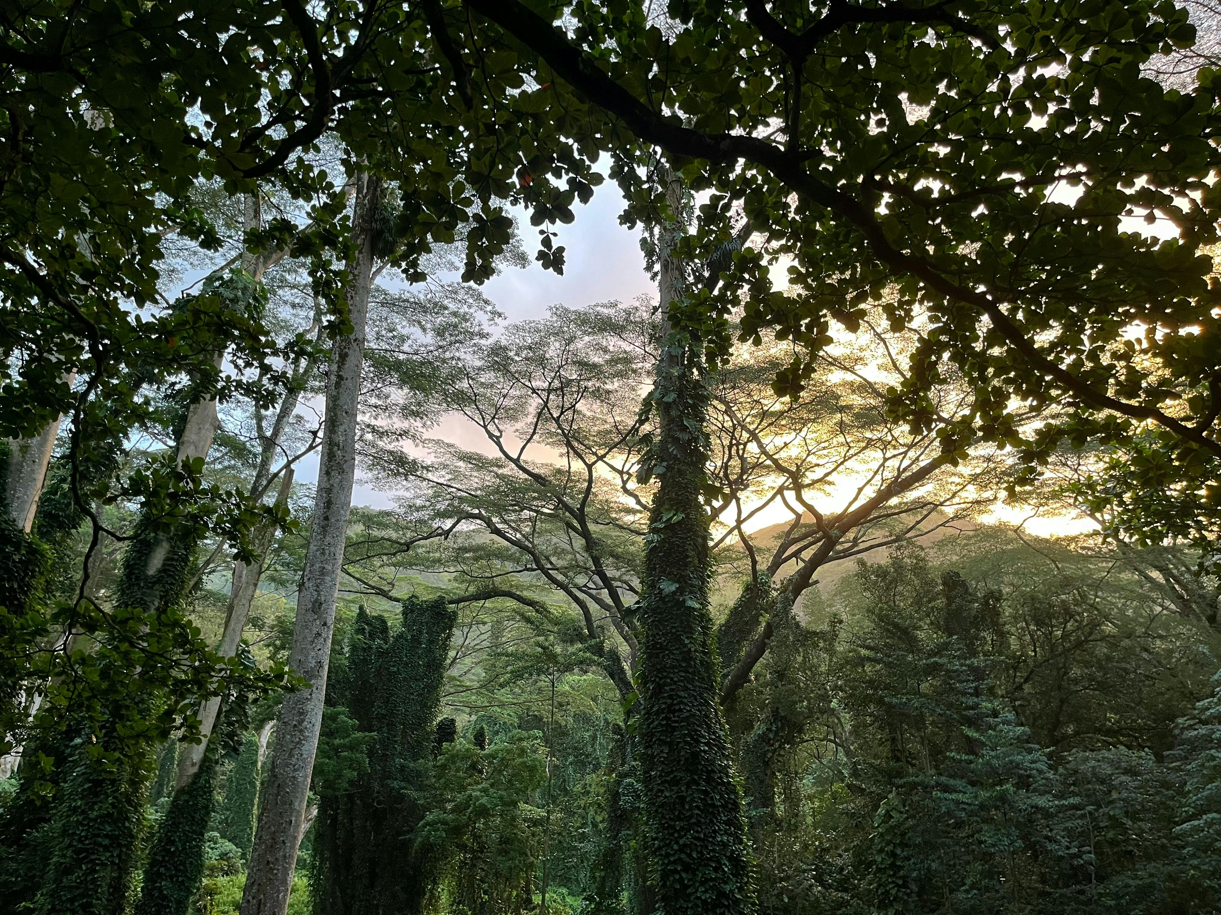 Photo by photosby_etn