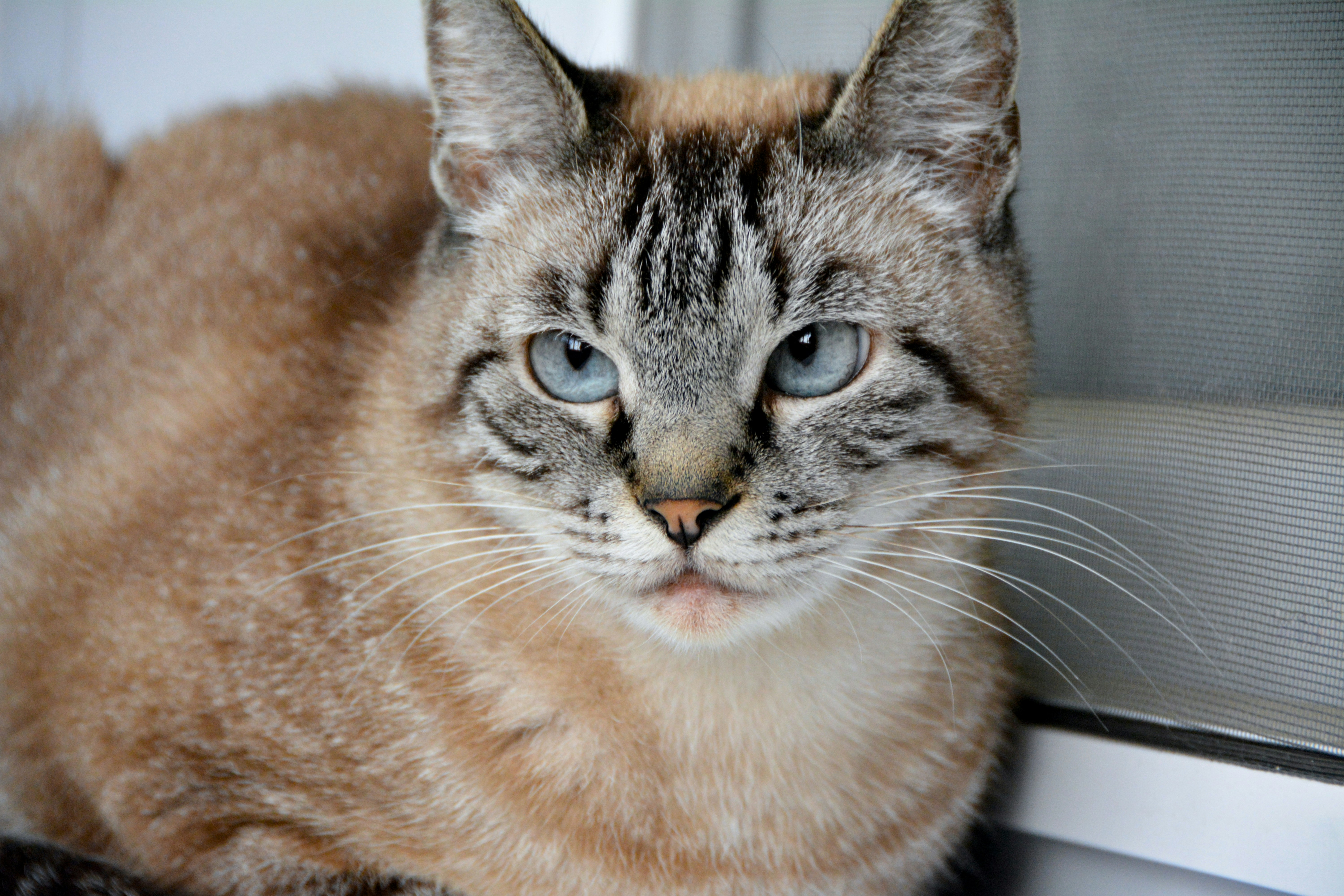 Photo by prosto_byblek