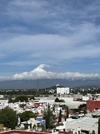A view of a city with a mountain in the background