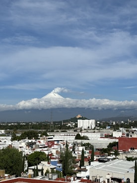 A view of a city with a mountain in the background