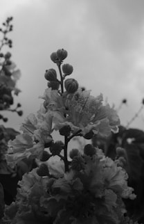 Coaching and Therapy Salisbury