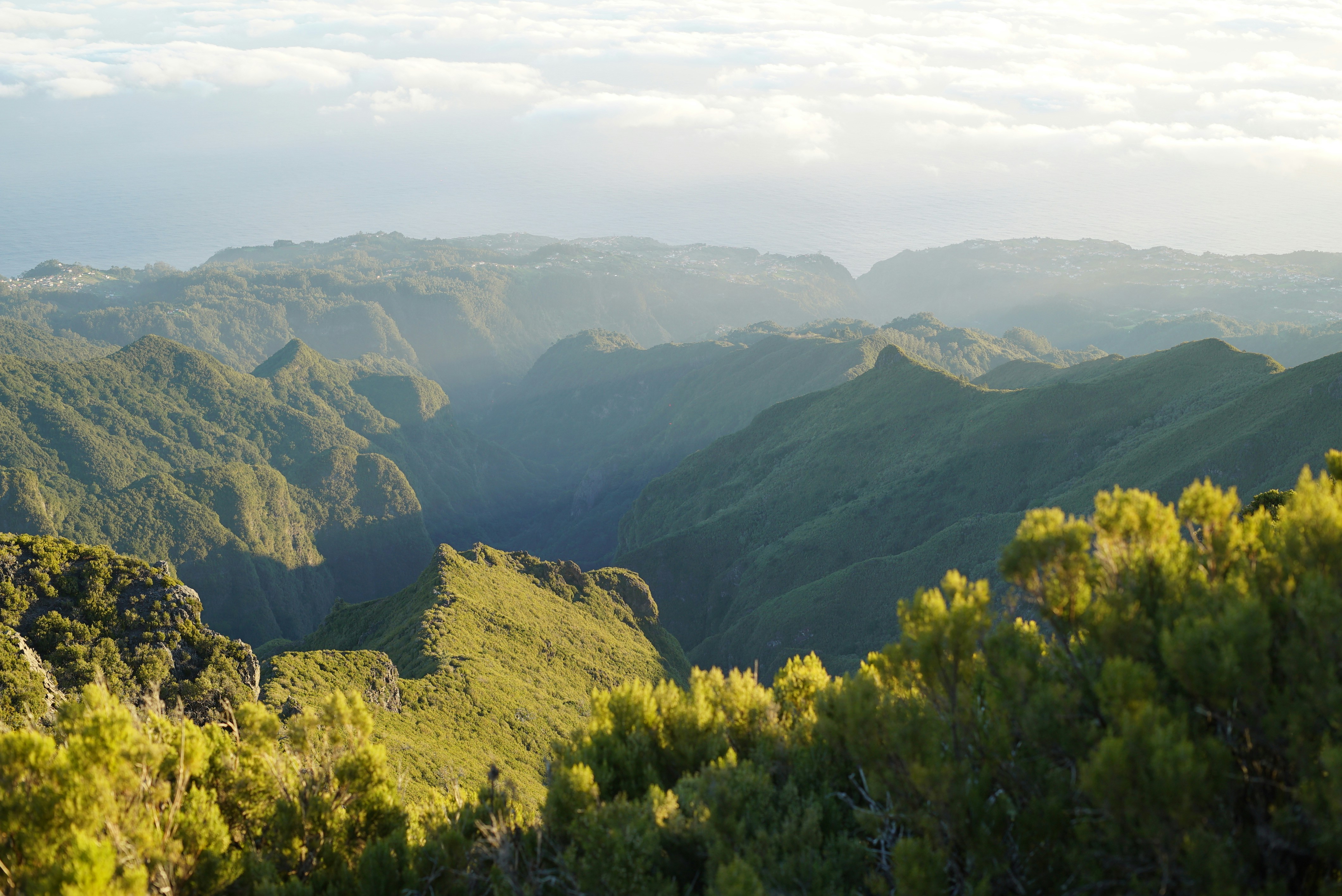 Photo by mariemichelecoene